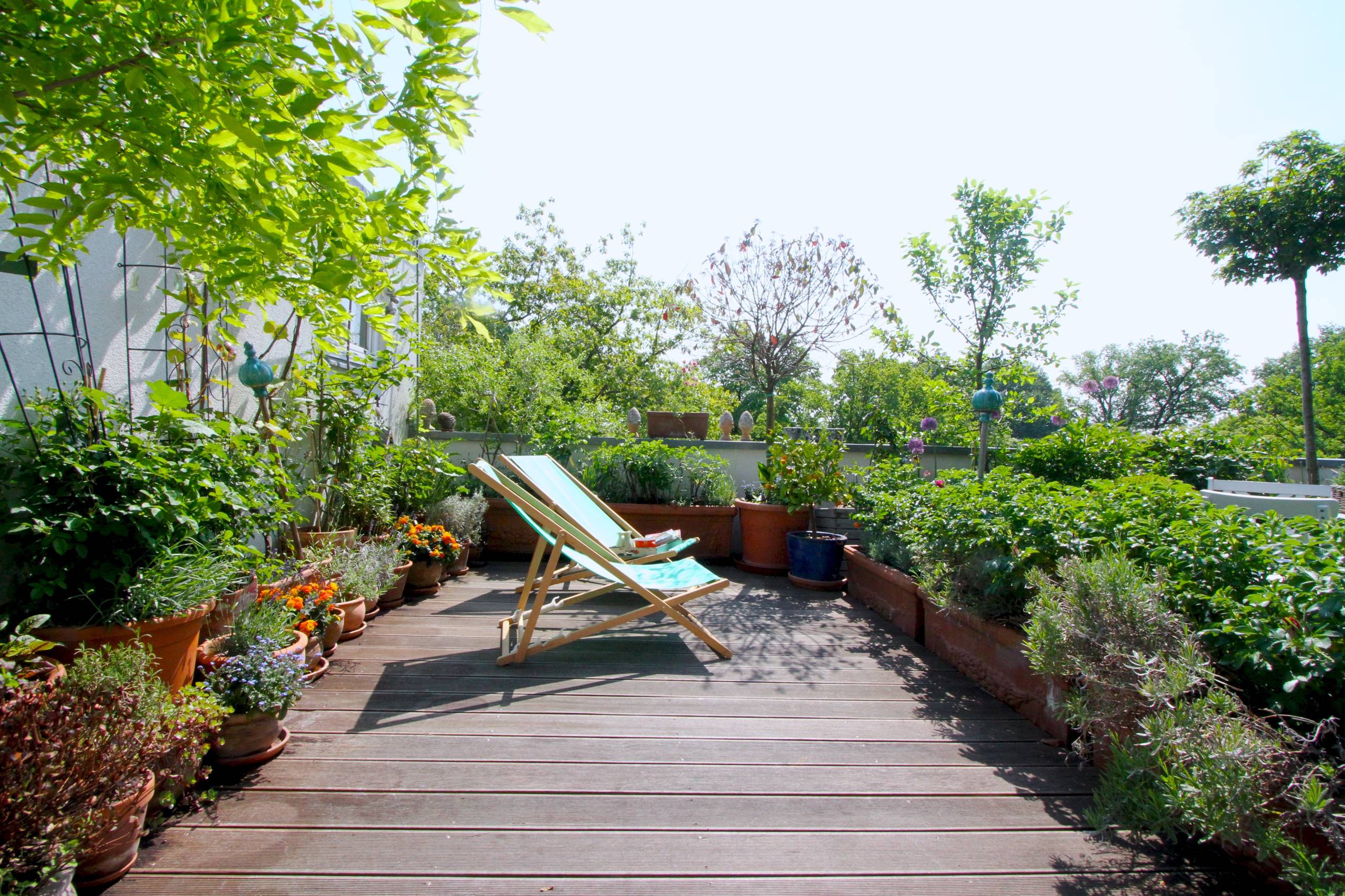 Фотоохота: 81 идея обустройства крыши на летний период