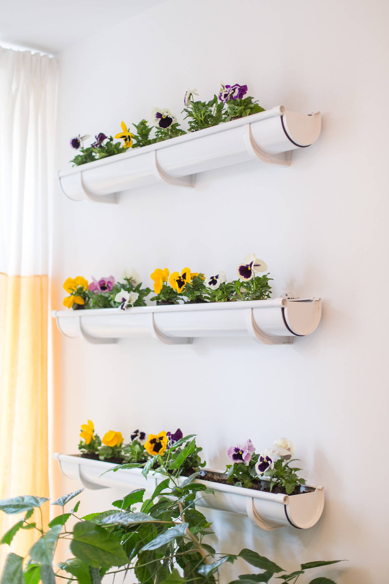 Houzz Украина: Первая собственная квартира дизайнера в Киеве