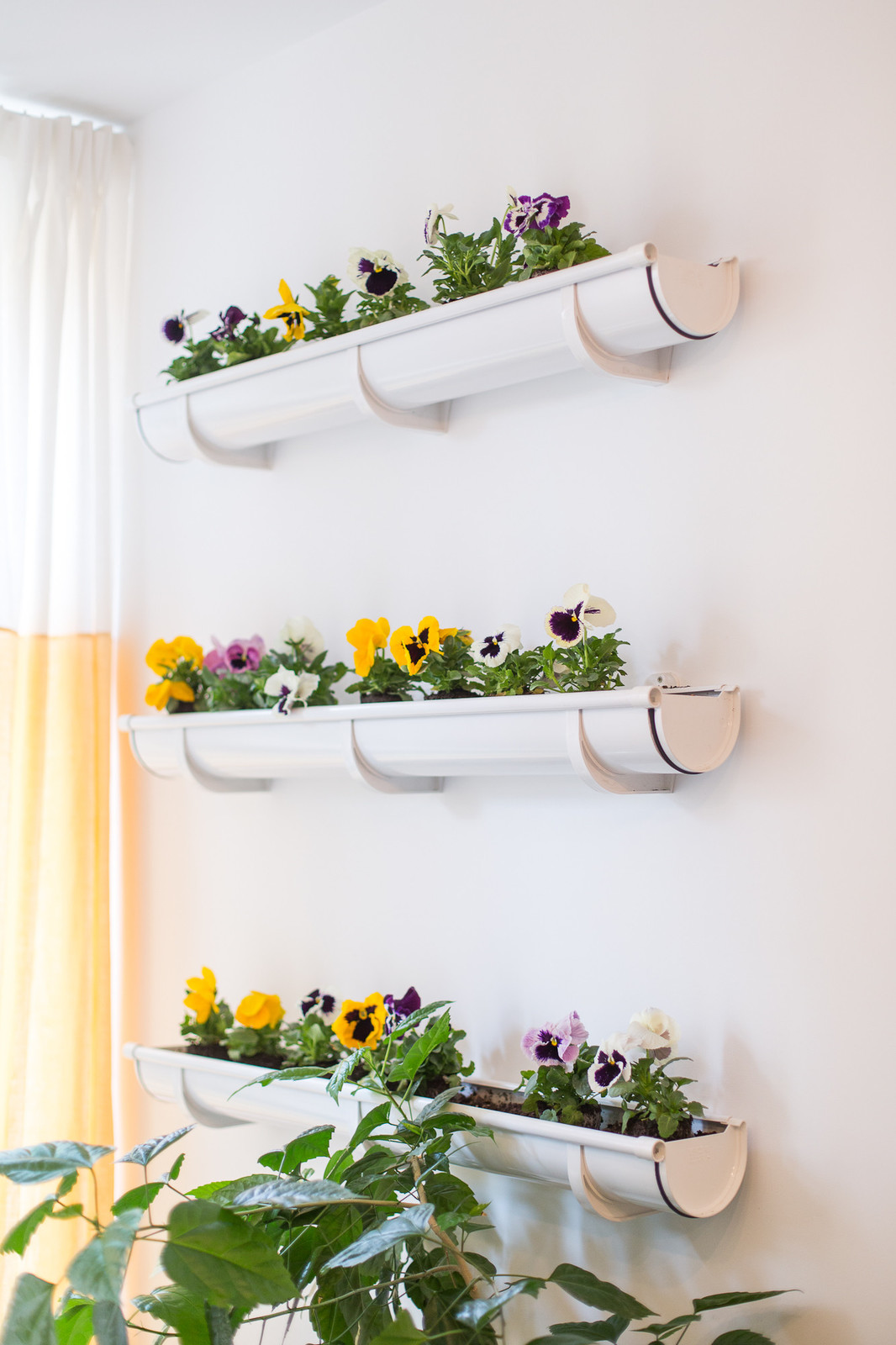 Houzz Украина: Первая собственная квартира дизайнера в Киеве