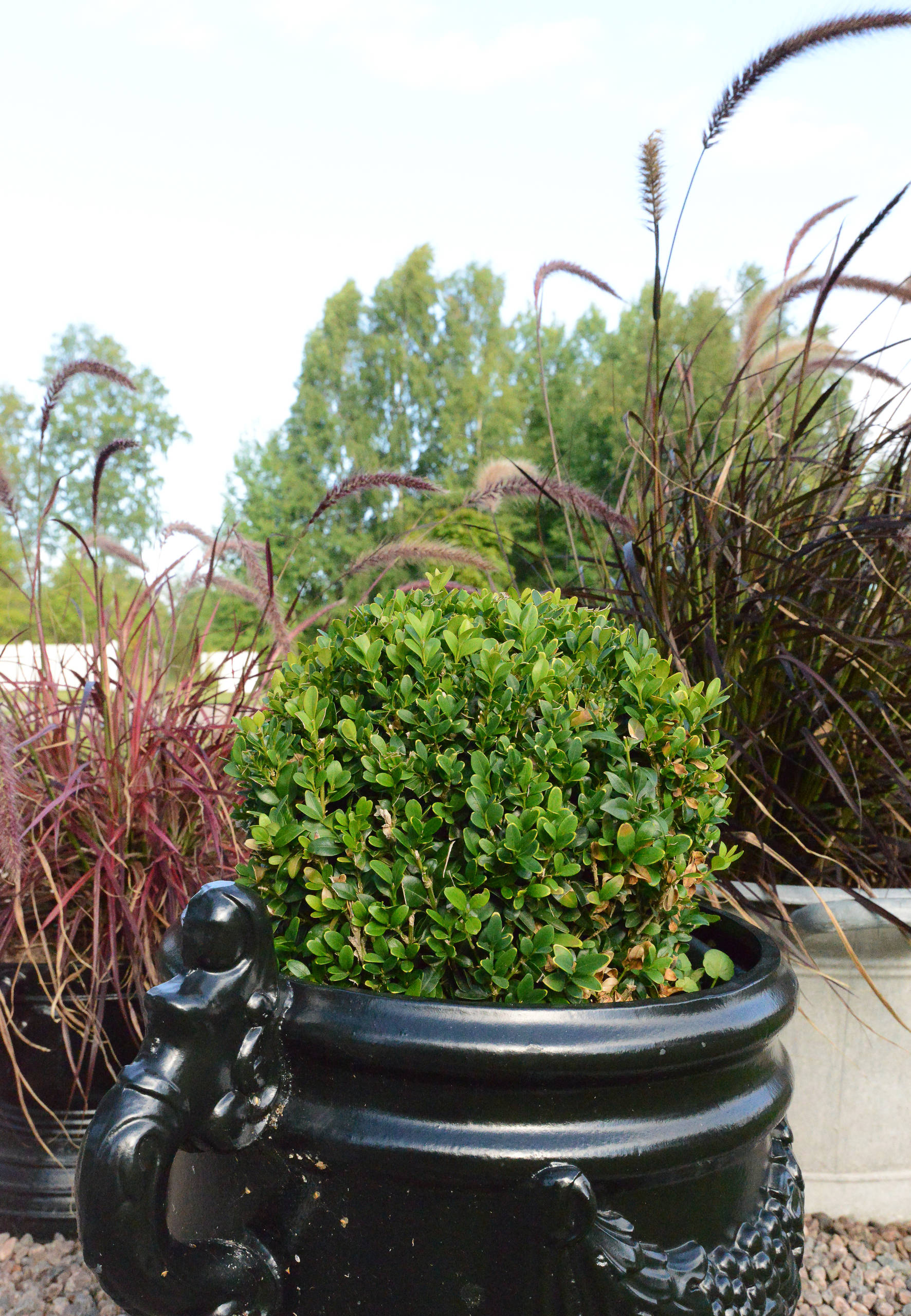 Проект недели: Открытая пергола в шведском Гётеборге