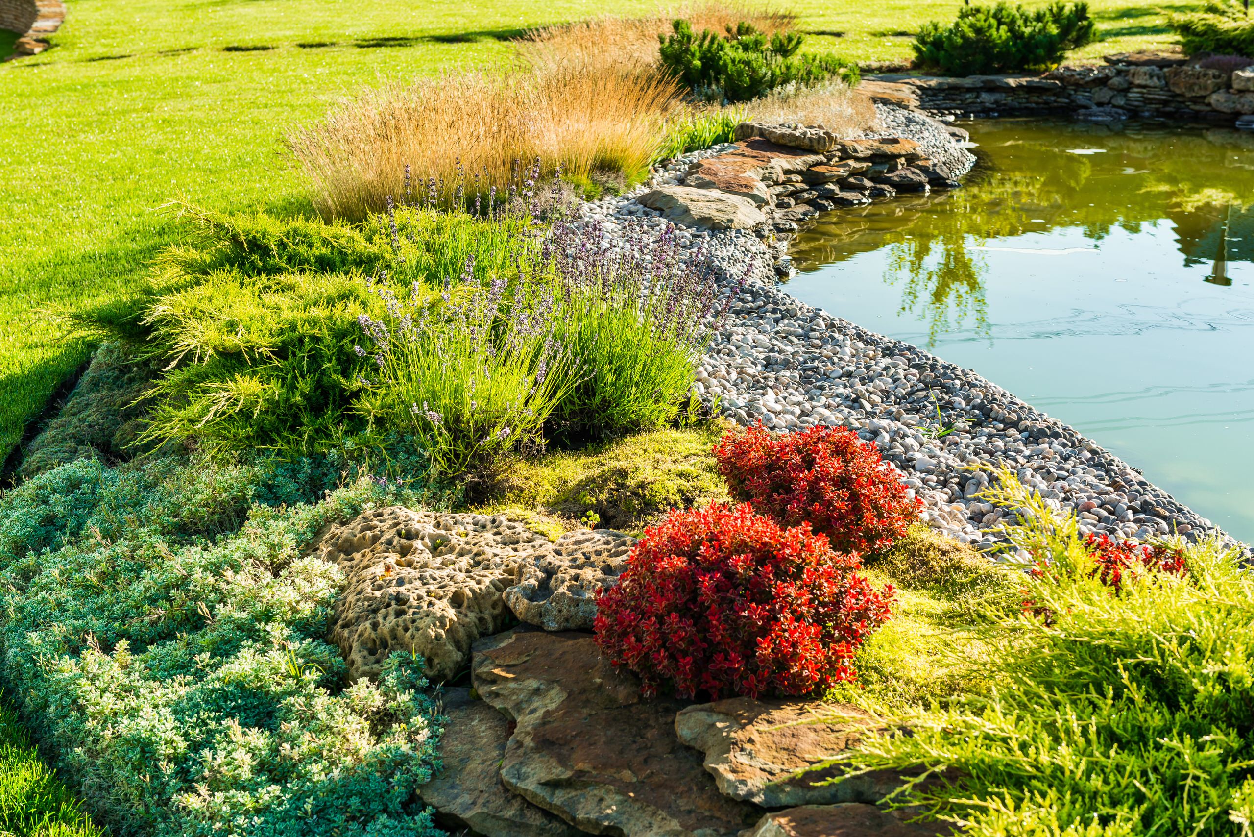 Календарь на октябрь: Работы в саду и на даче