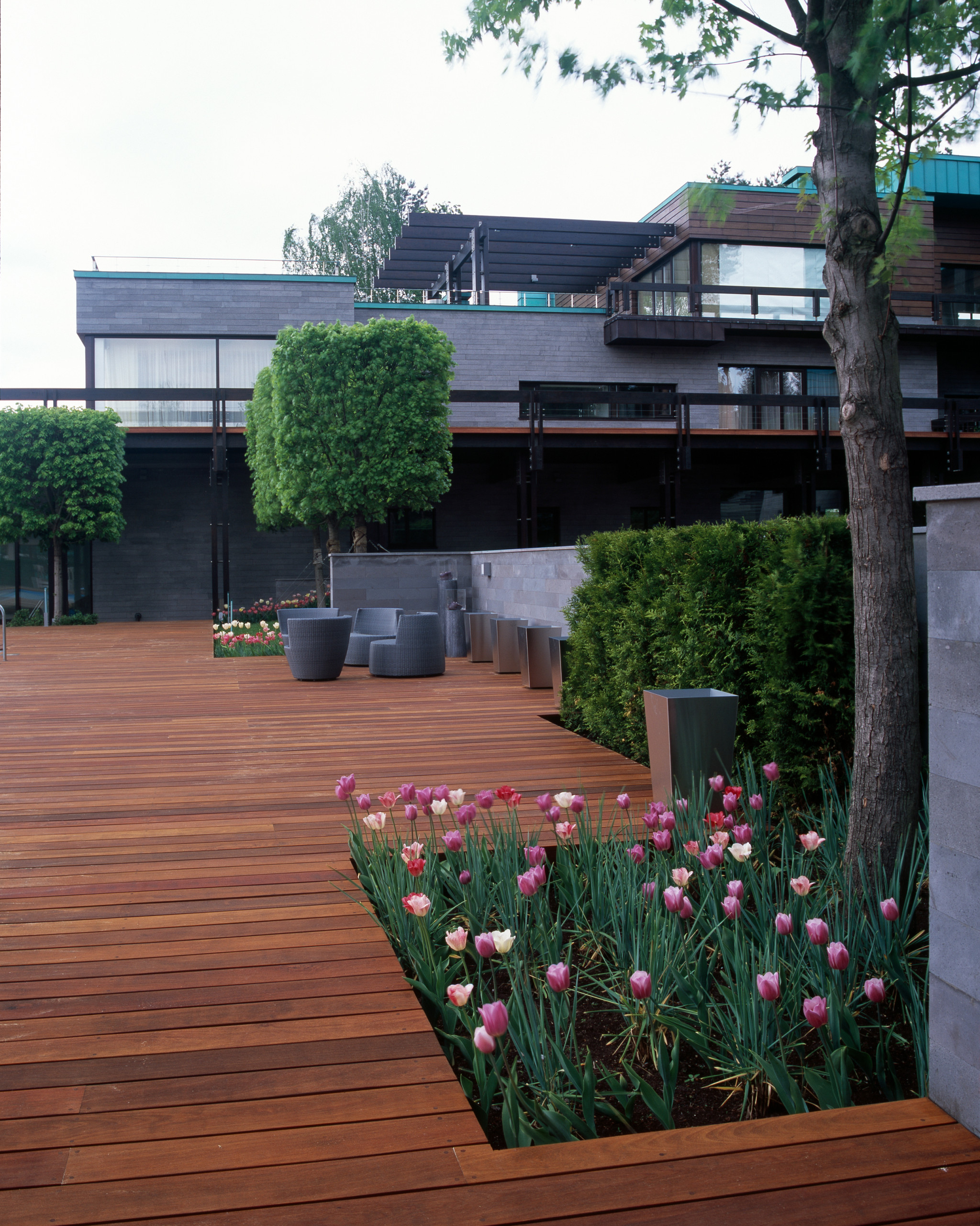 Свой круг: Как оформить приствольные круги деревьев