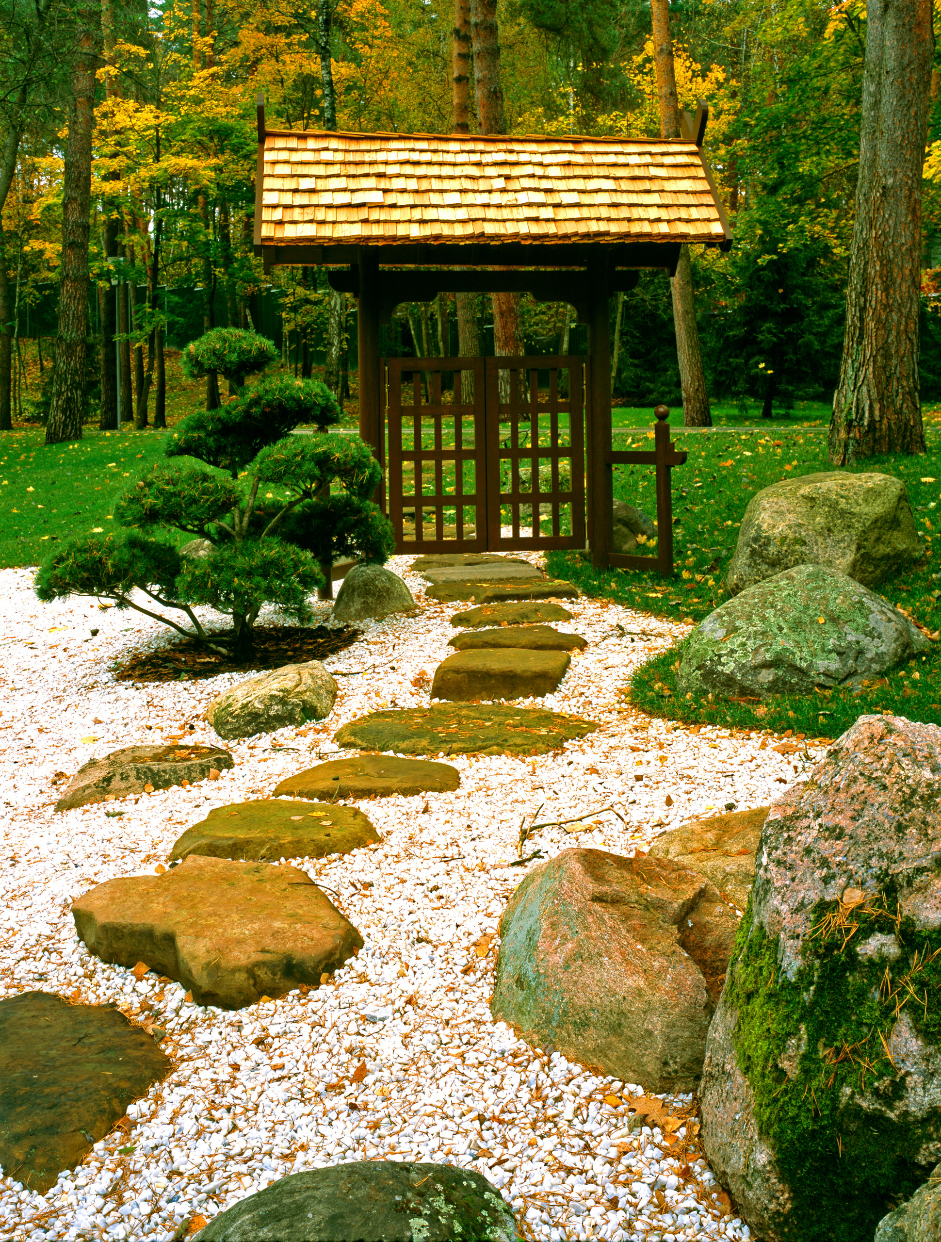 Фотоохота: 93 садовые дорожки мечты