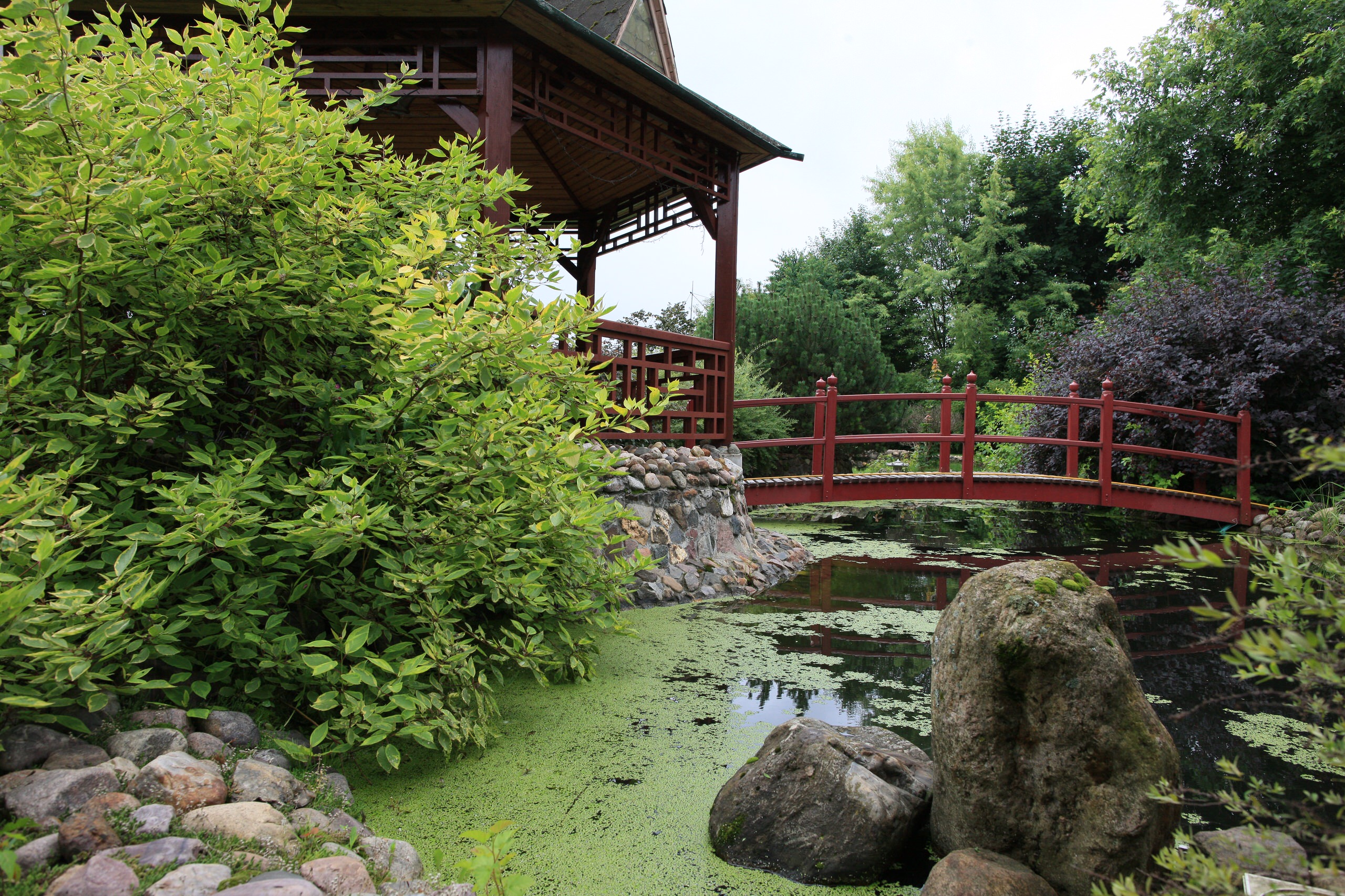 Декоративные кустарники: 12 причин посадить их в своем саду