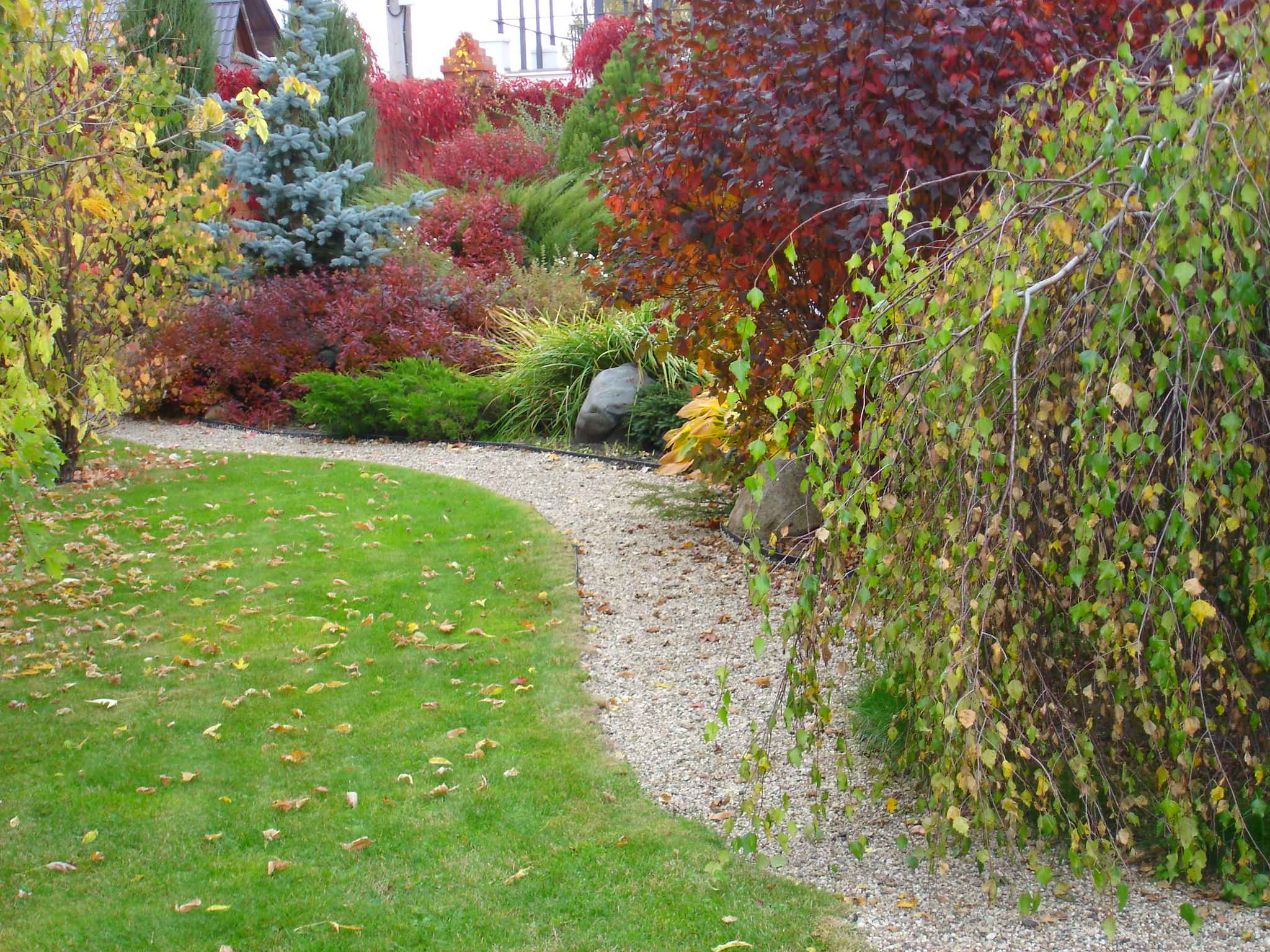 Декоративные кустарники: 12 причин посадить их в своем саду