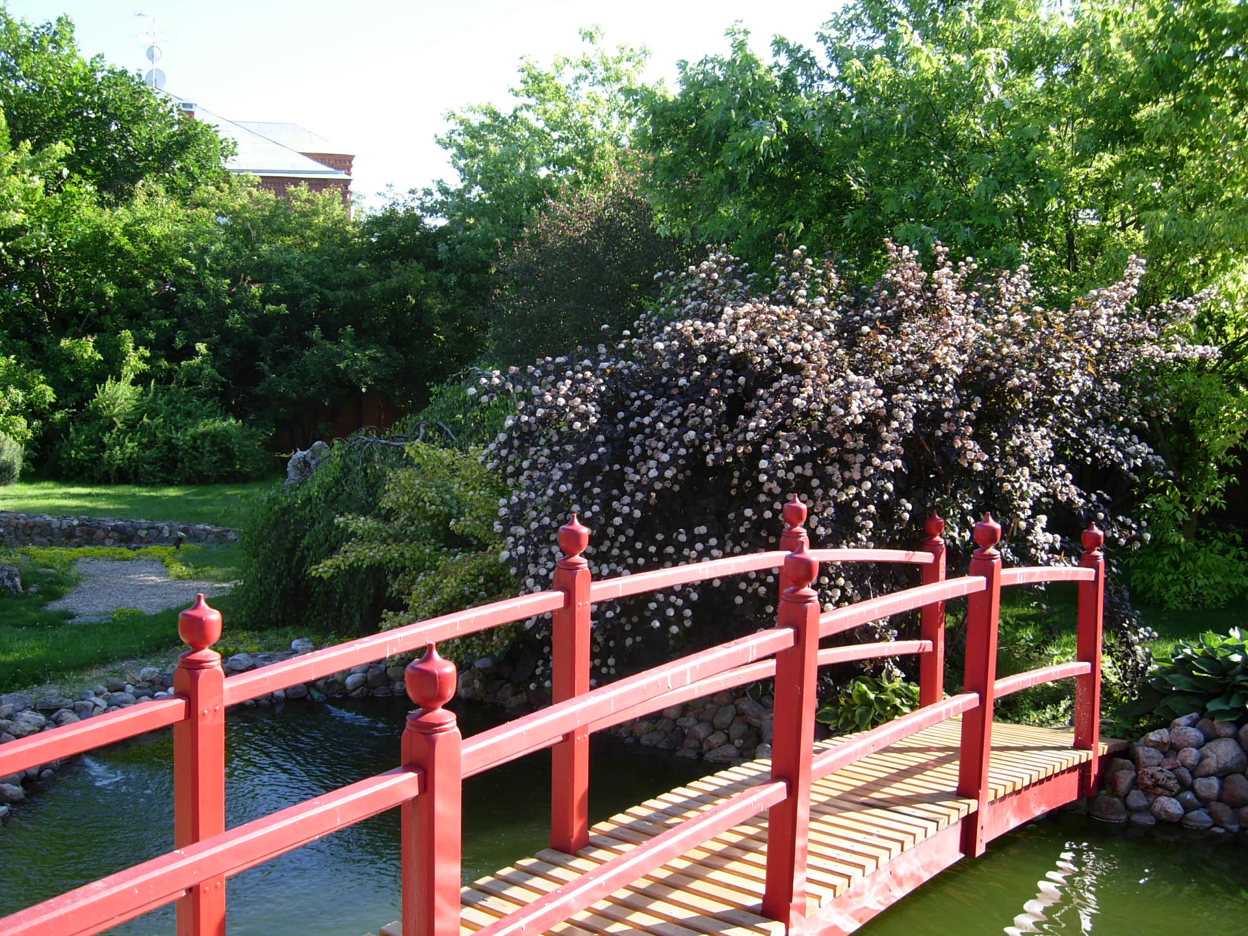 Декоративные кустарники: 12 причин посадить их в своем саду