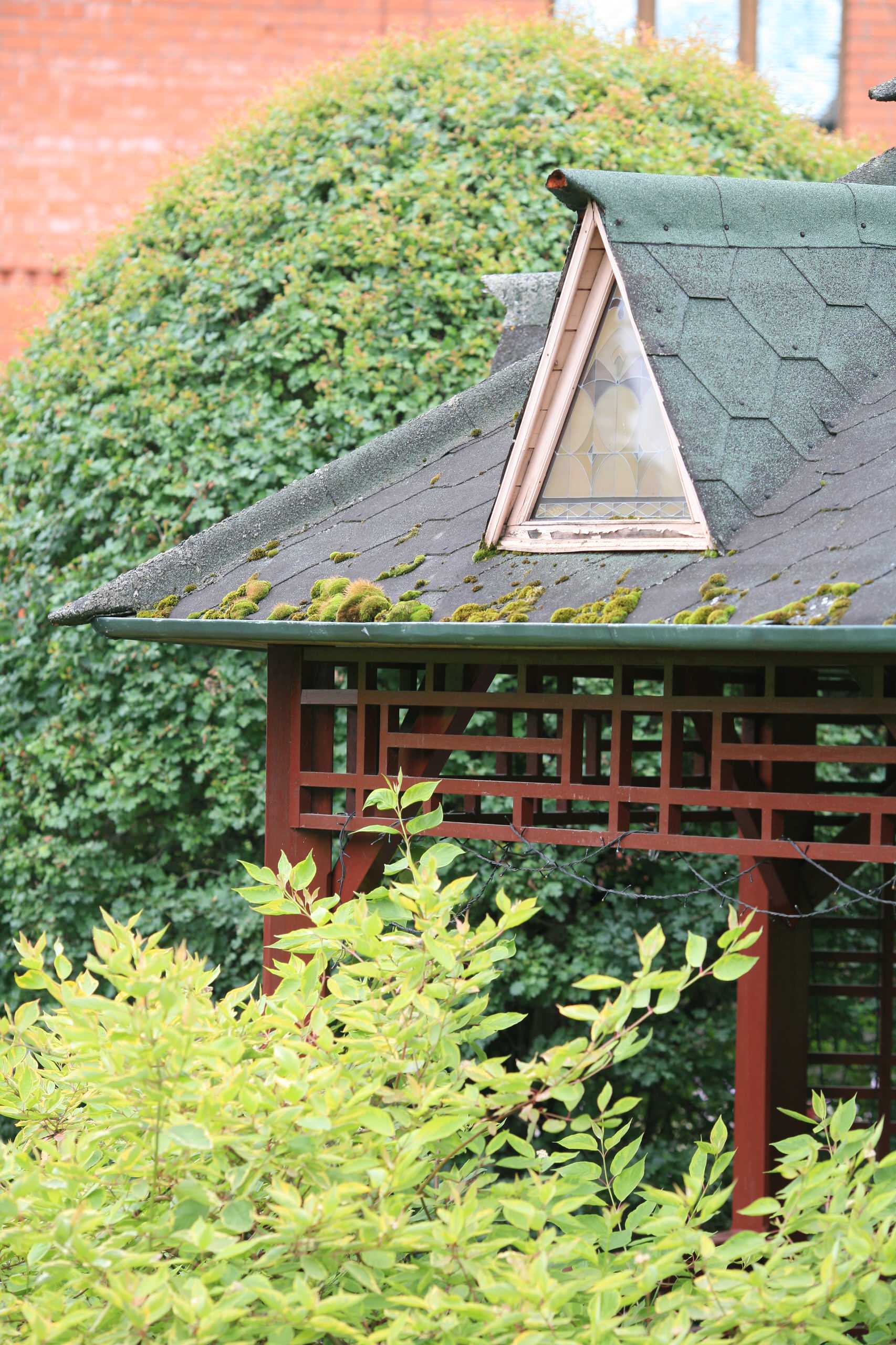 Стиль в ландшафтном дизайне: Как выбрать растения