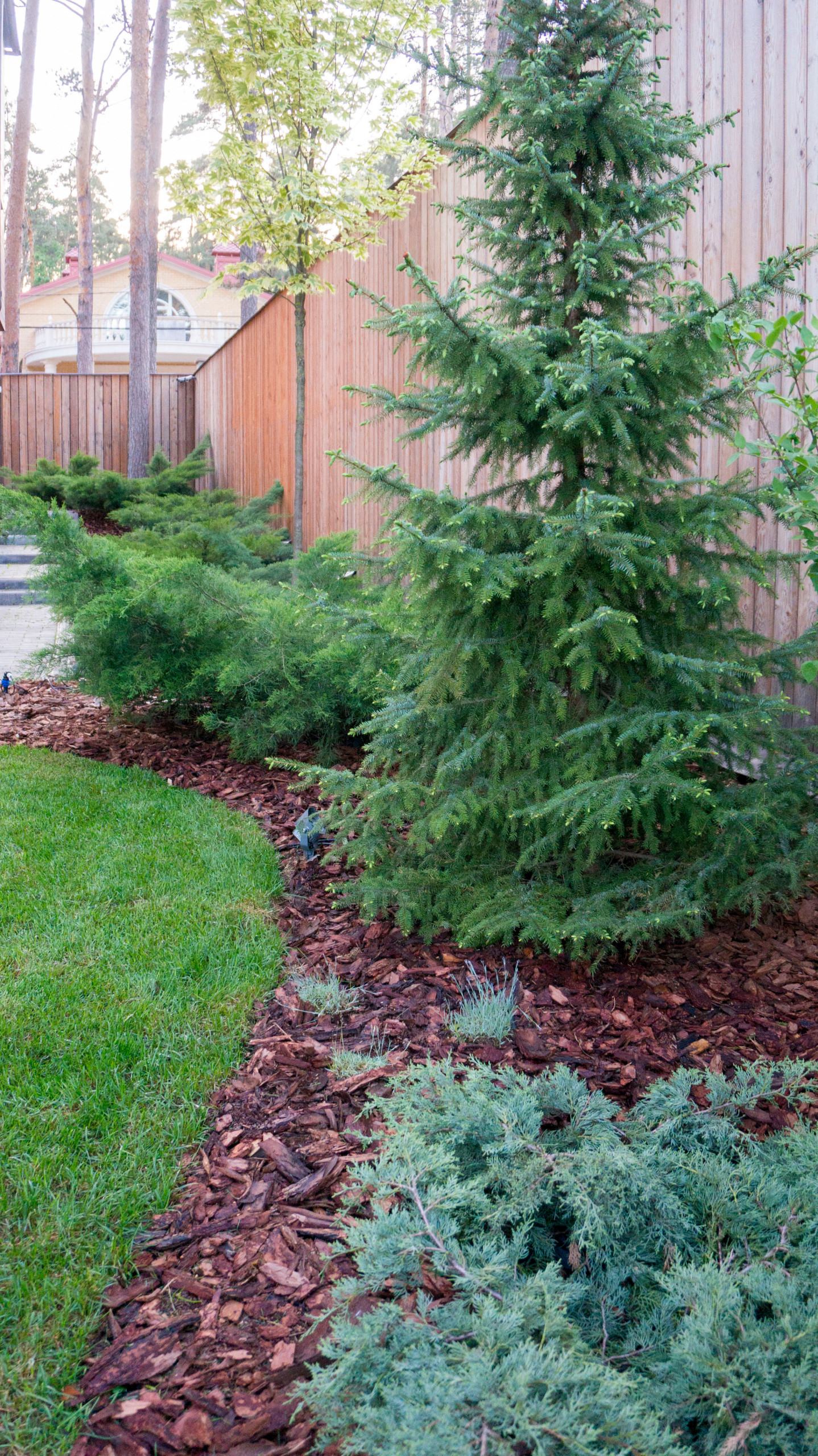 Хороший вопрос: Как избавиться от сорняков на даче навсегда