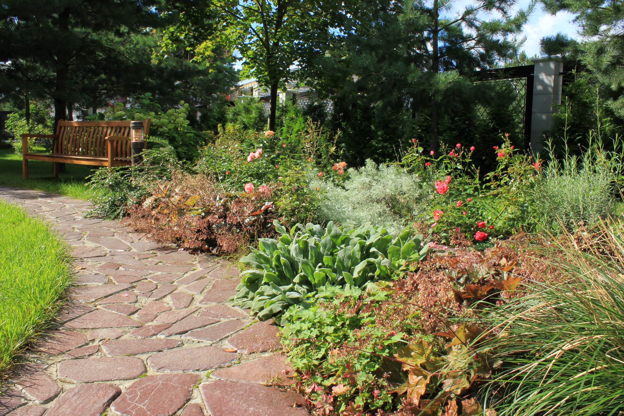 Растения: Выбираем декоративнолистные для сада