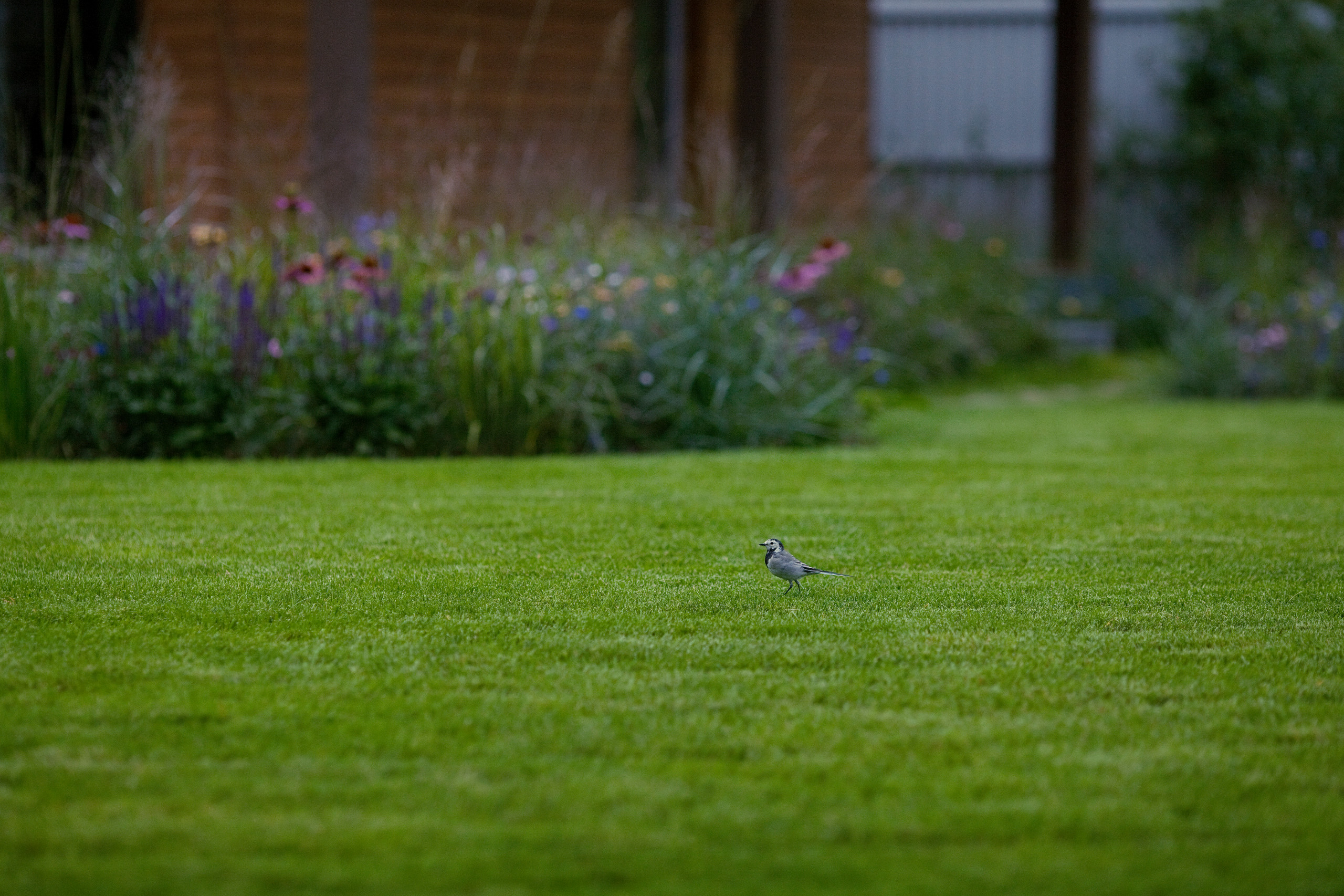 Дневник садовода: Зачем его вести и как