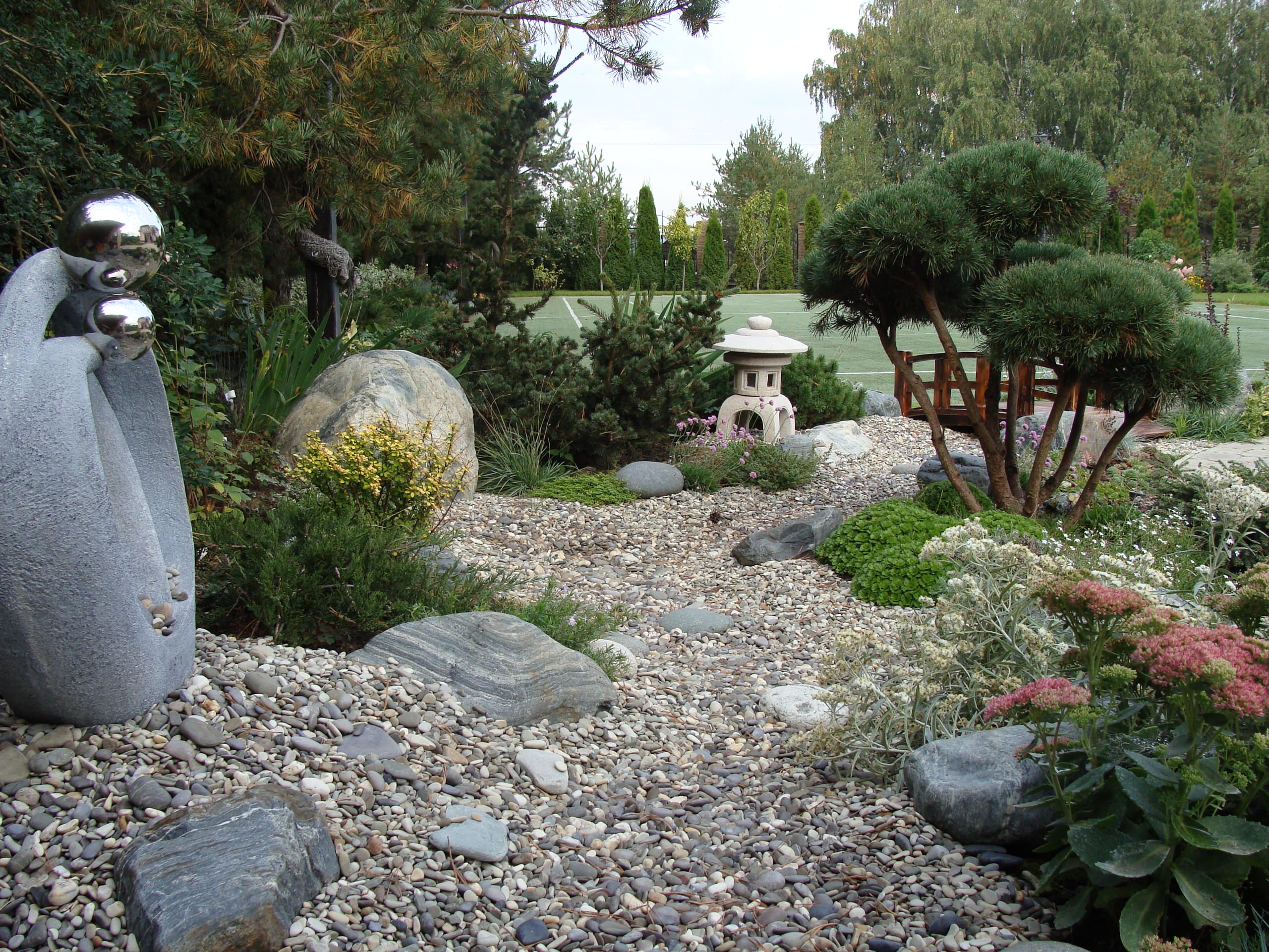 Как правильно: Выбрать растения для сада будущего года