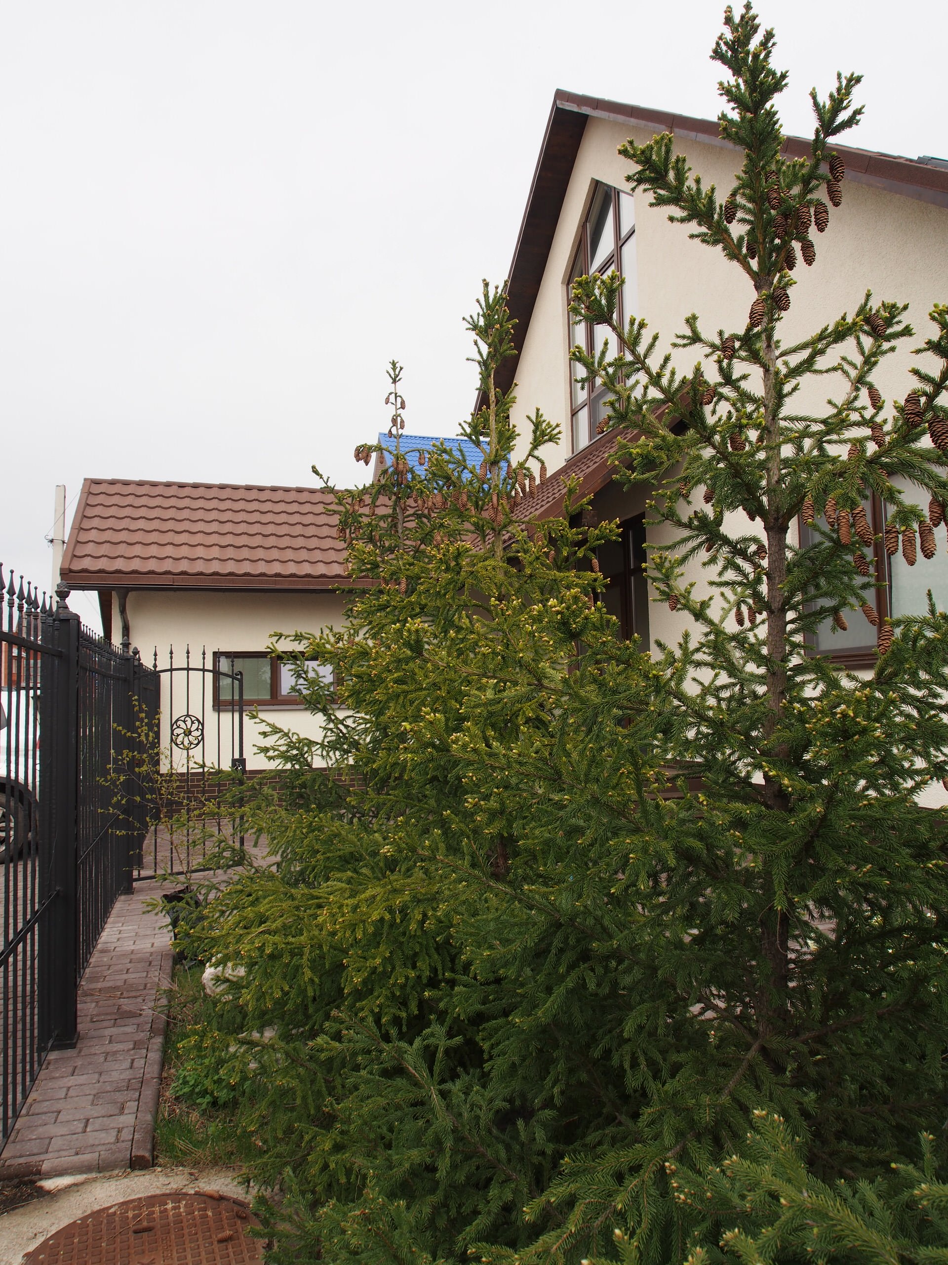 Итак, вы купили дачу... Что делать дальше?