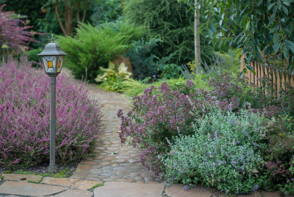 Сад недели: с вересками, злаками и лесной зоной