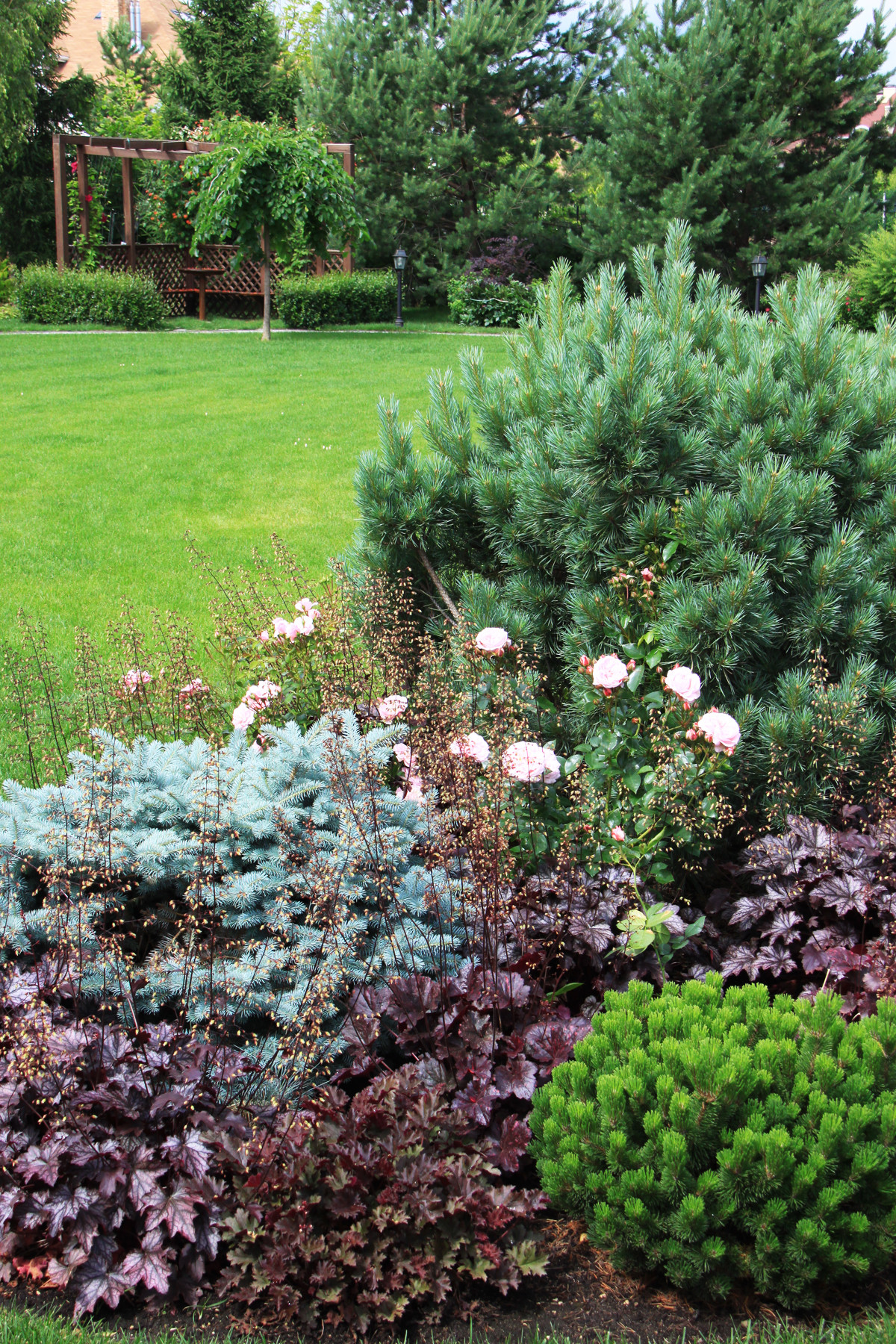 Как правильно: Сочетать растения по цвету на клумбе