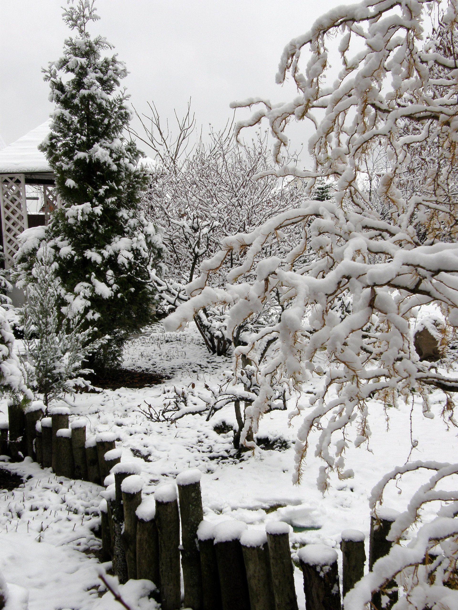 Как правильно: Выбрать растения для сада будущего года