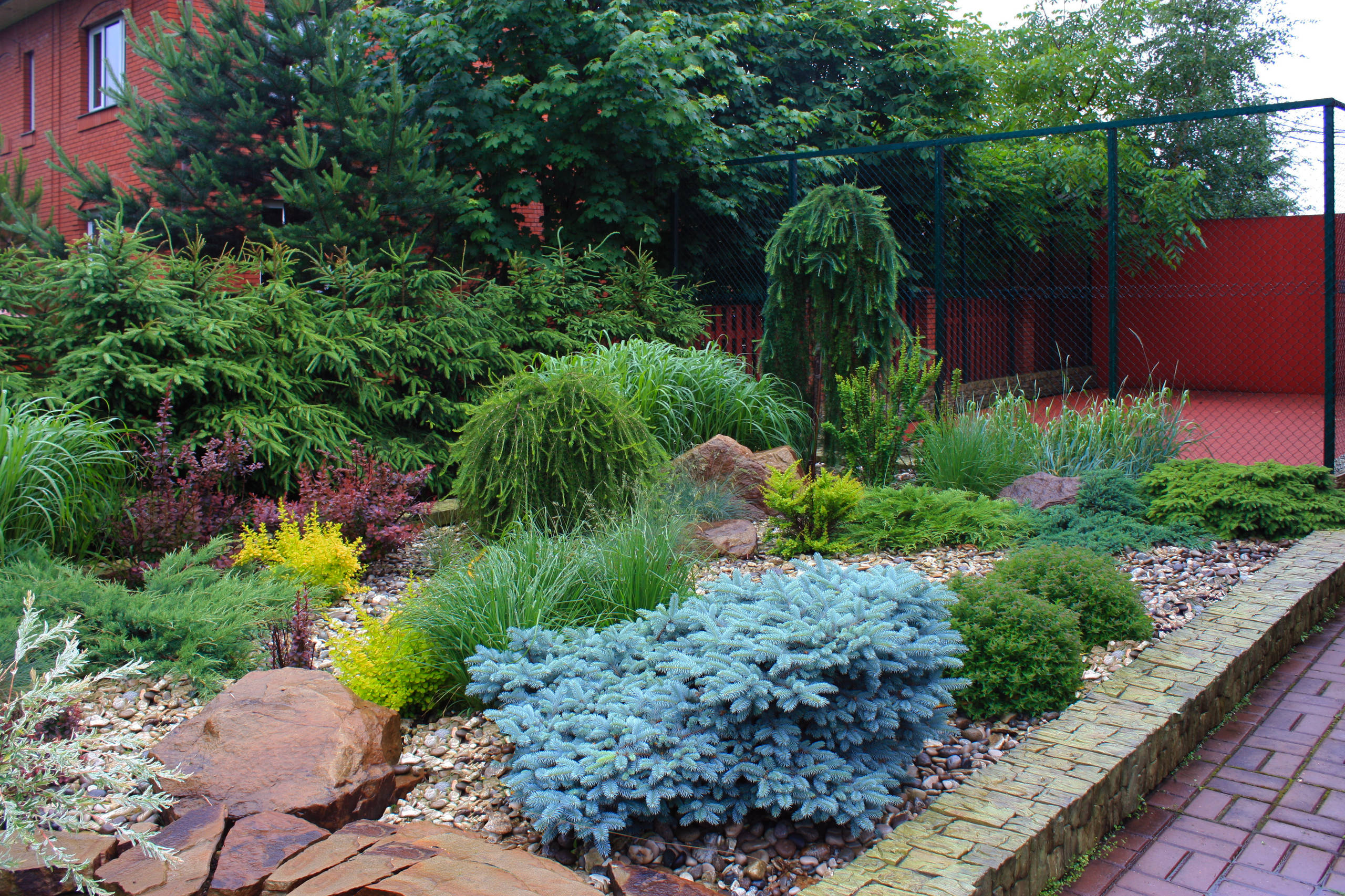 Ледниковый период: Как уберечь растения зимой