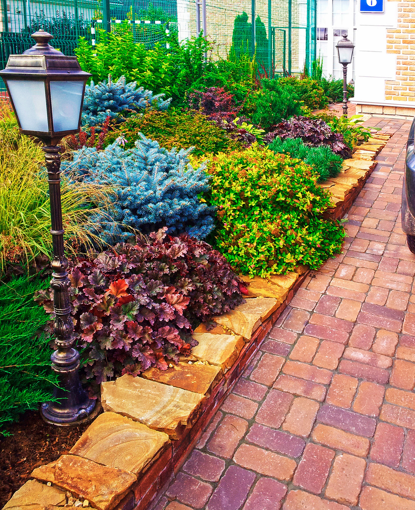 Растения: Выбираем декоративнолистные для сада