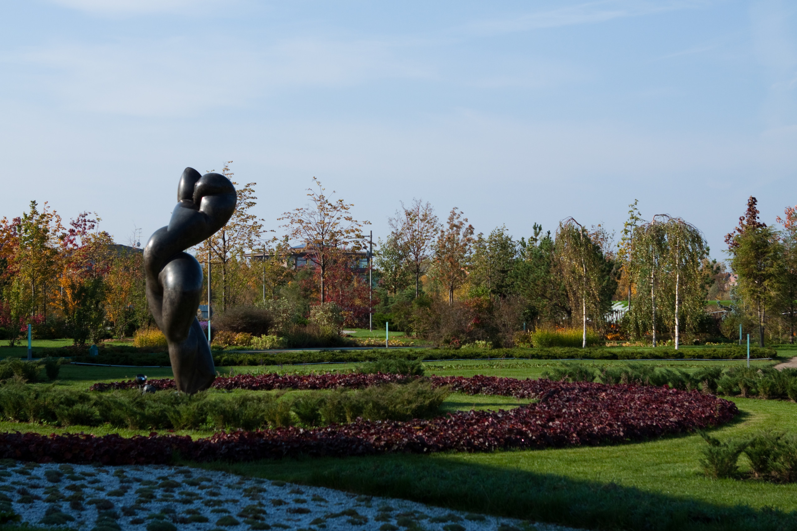 Почвопокровные растения: Зеленый ковер для сада