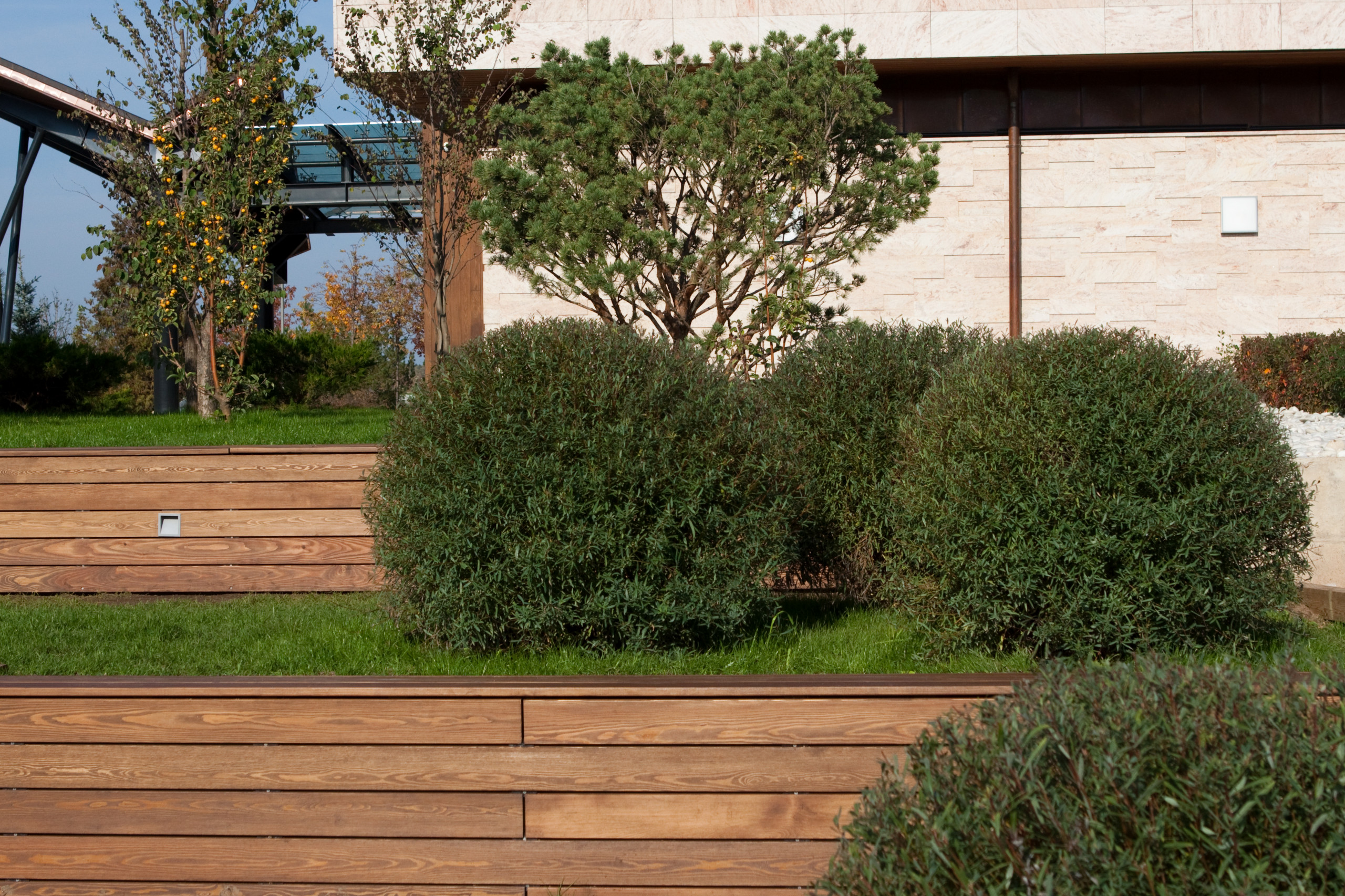 Шаром покати: Классические приемы украшения сада сферами