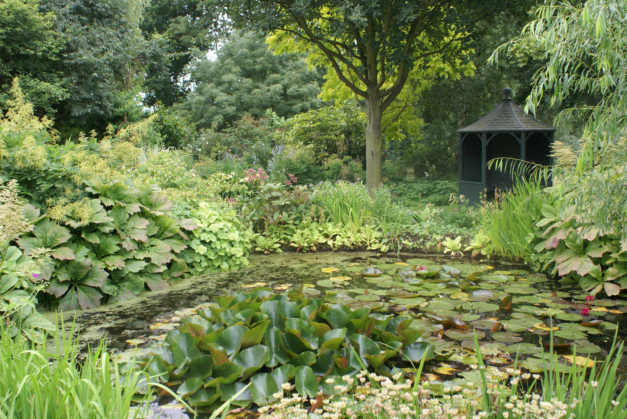 Пейзажный или регулярный: Какой сад выбрать и почему