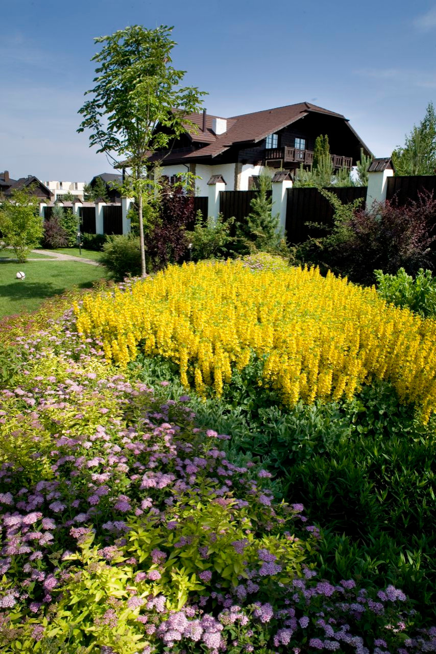 Как правильно: Сочетать растения по цвету на клумбе