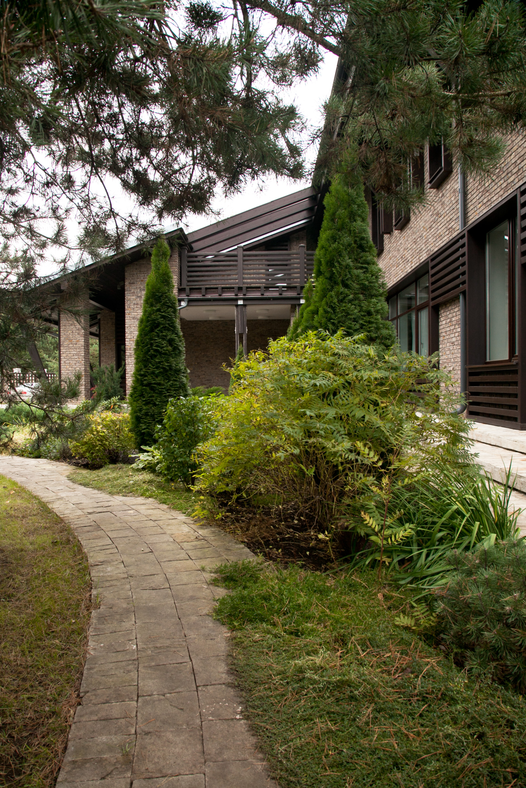 Декоративные кустарники: 12 причин посадить их в своем саду