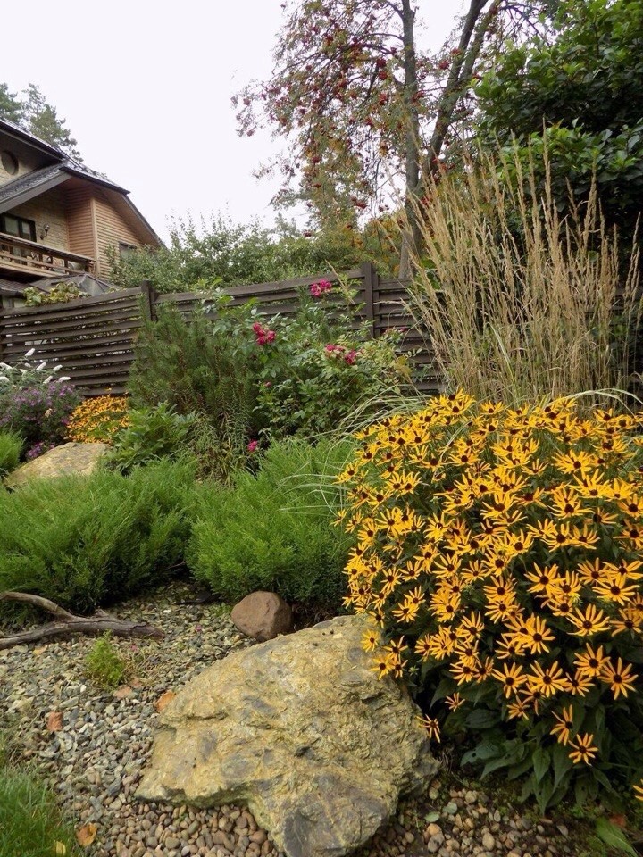 Цветы на даче: 9 стратегий дизайна клумбы