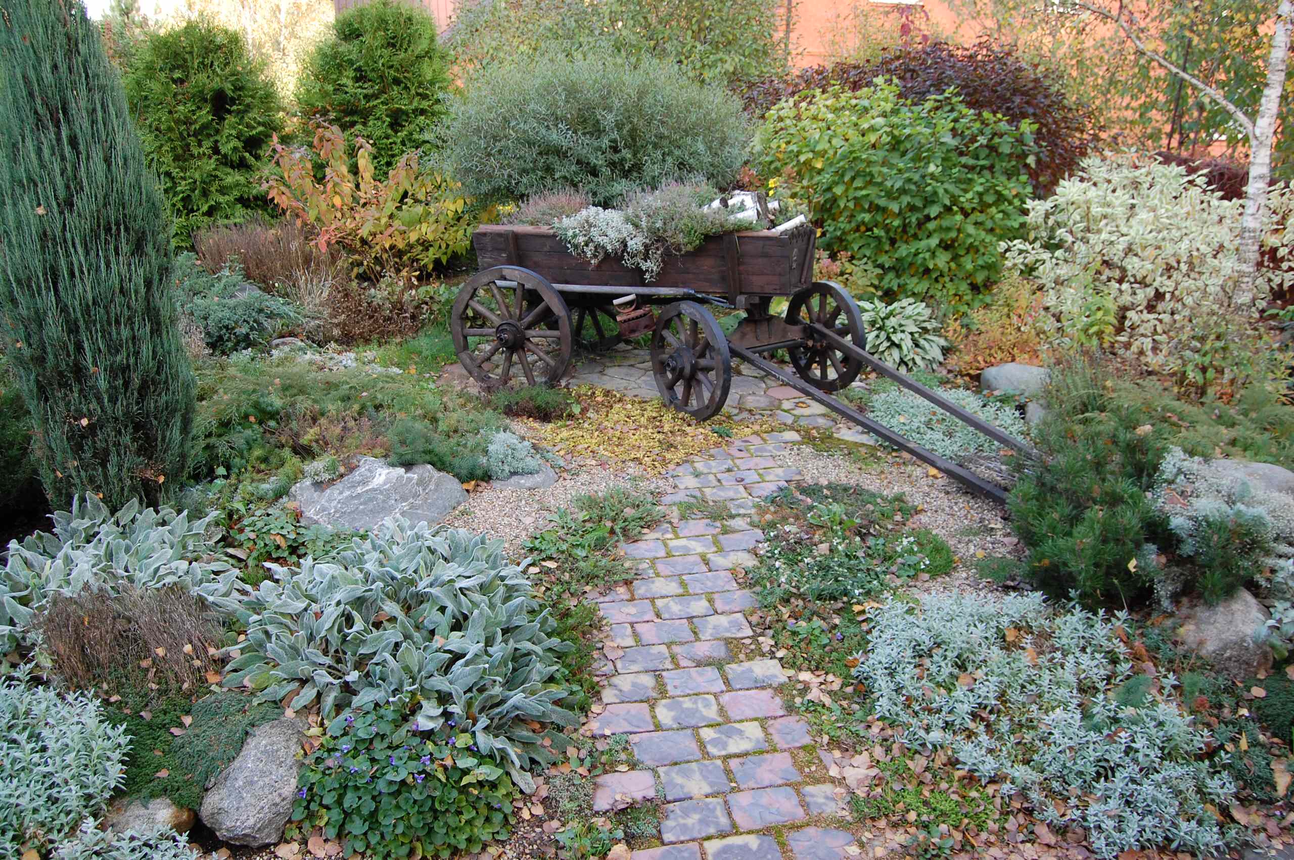 Растения: Выбираем декоративнолистные для сада