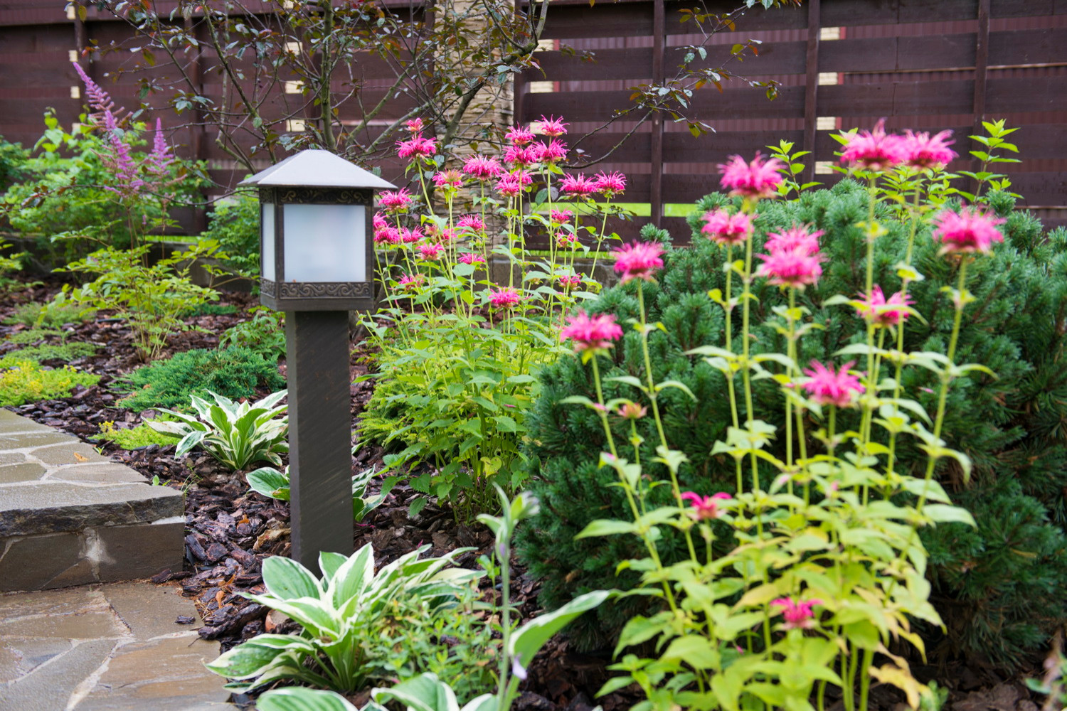 Хороший вопрос: Почему ваш участок не похож на фото из журнала