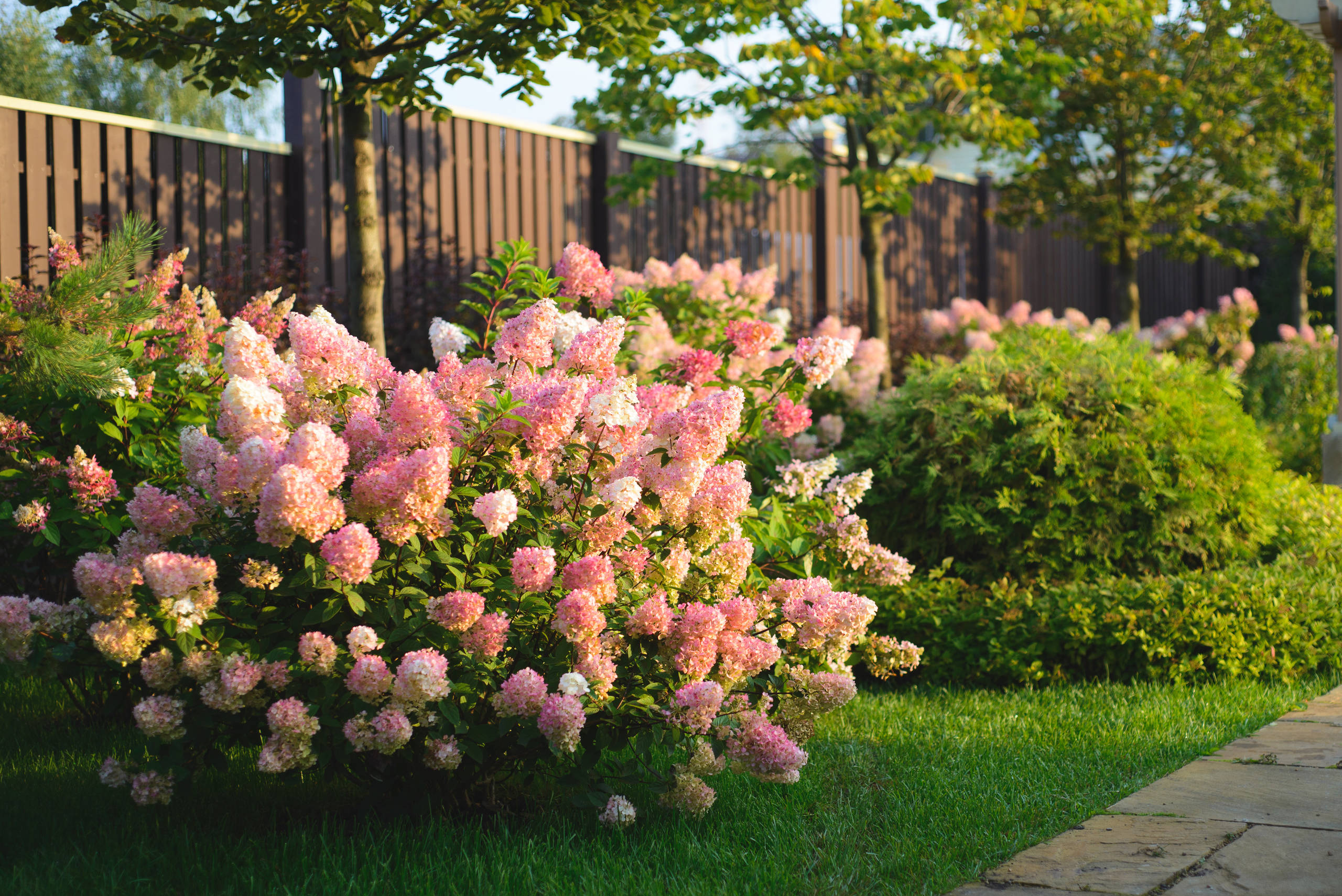 Сад без клумб: Оставляем только деревья и кустарники