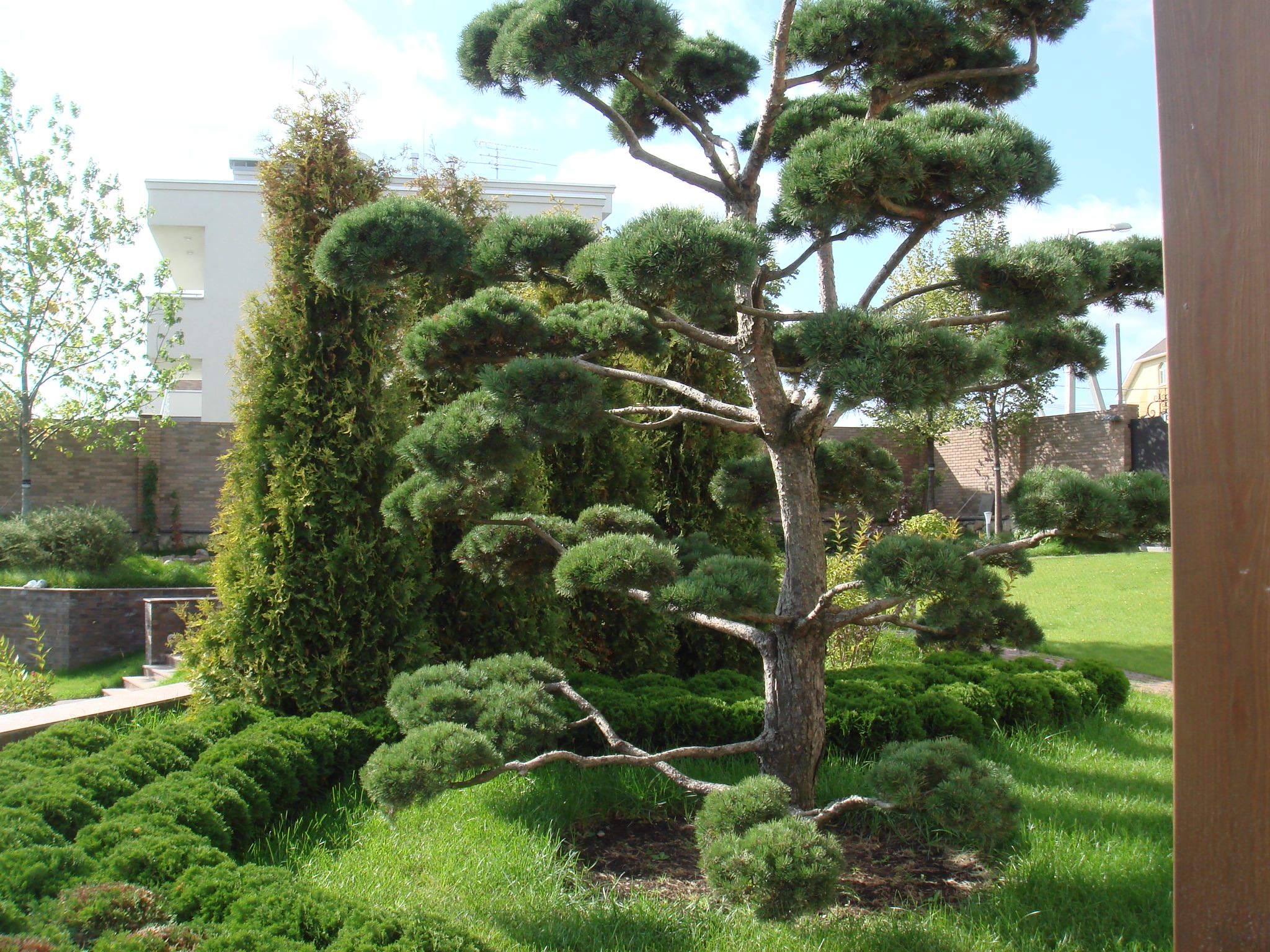 Хороший вопрос: Сколько растений нужно для красивого сада