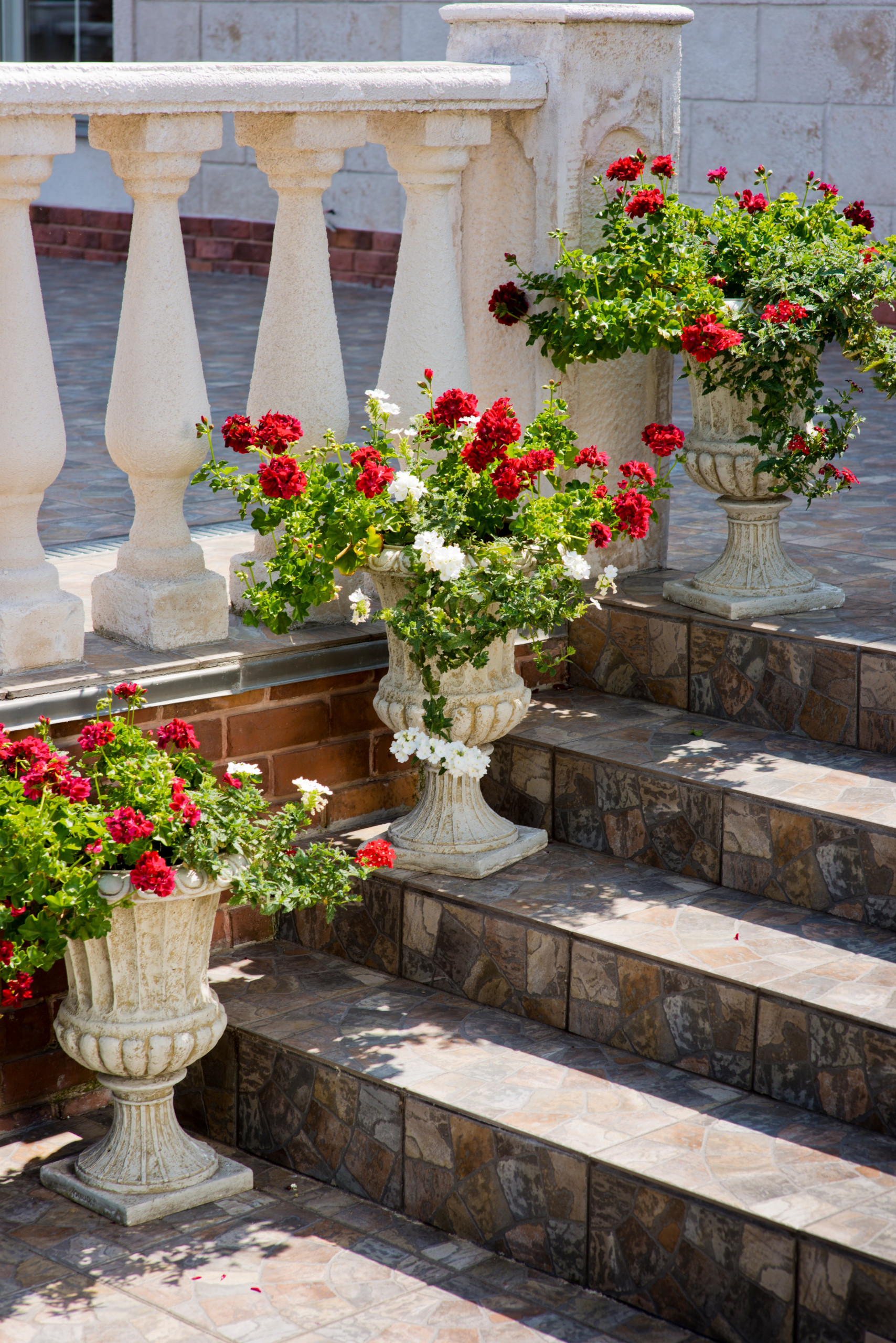 Хороший вопрос: Почему ваш участок не похож на фото из журнала