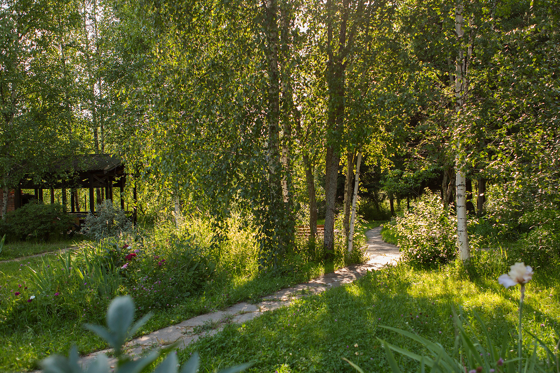 В гостях: Сад на выходные для родителей