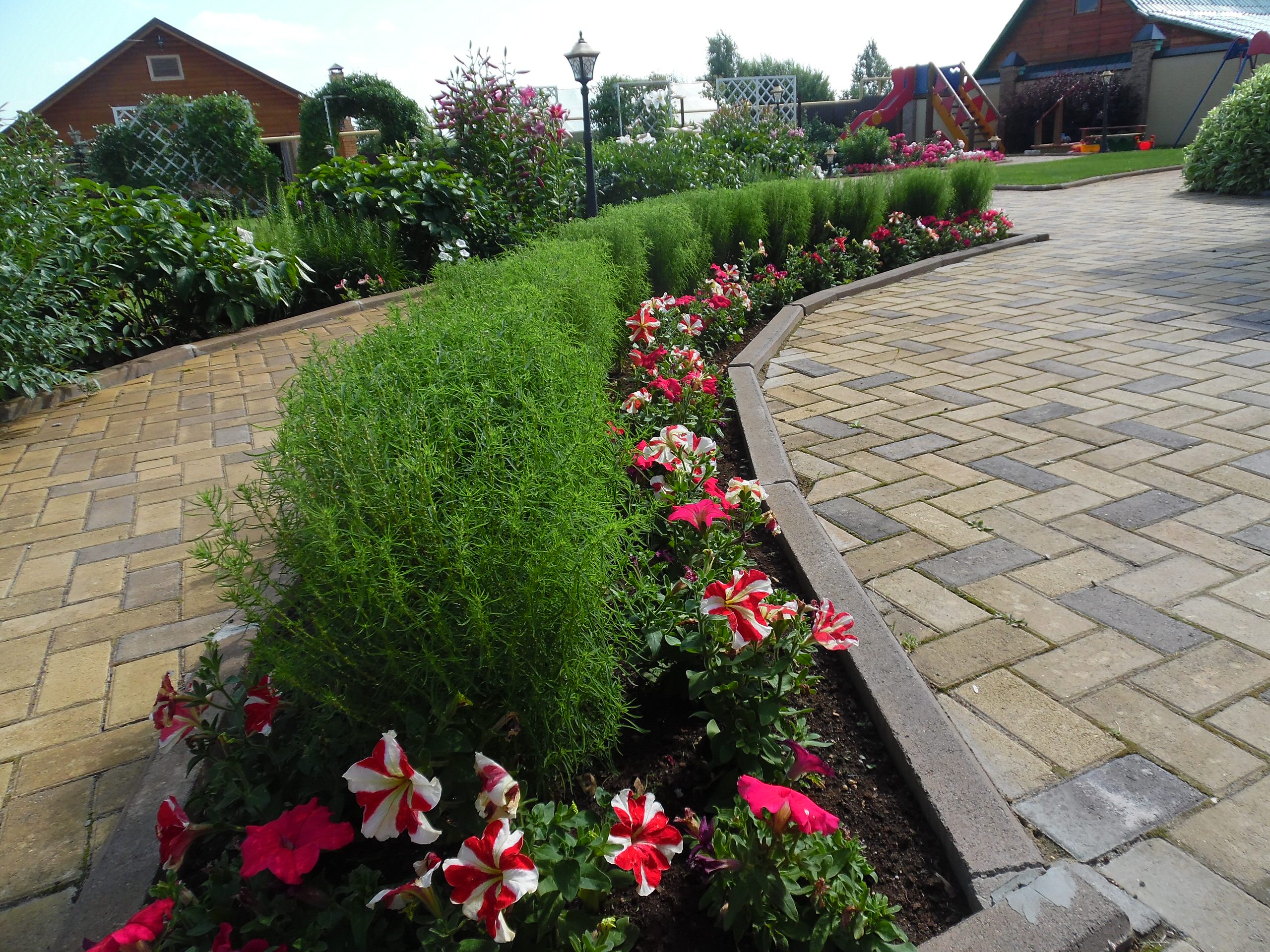 Хороший вопрос: Что посадить — однолетники или многолетники?