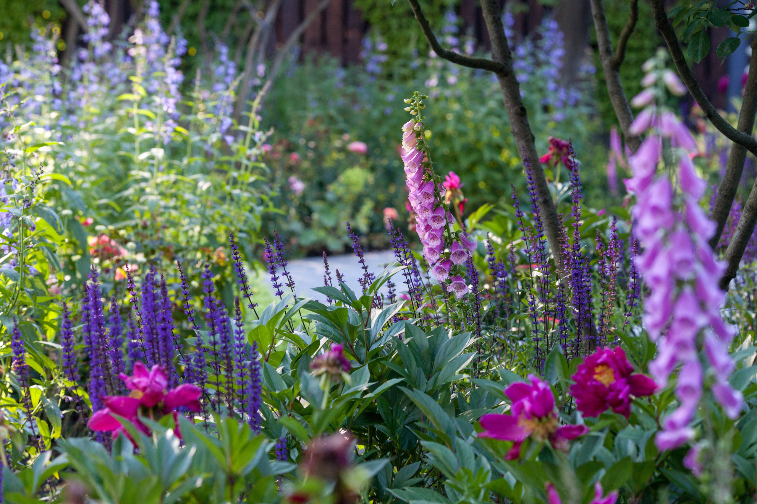 Дизайн клумбы: Шаг за шагом