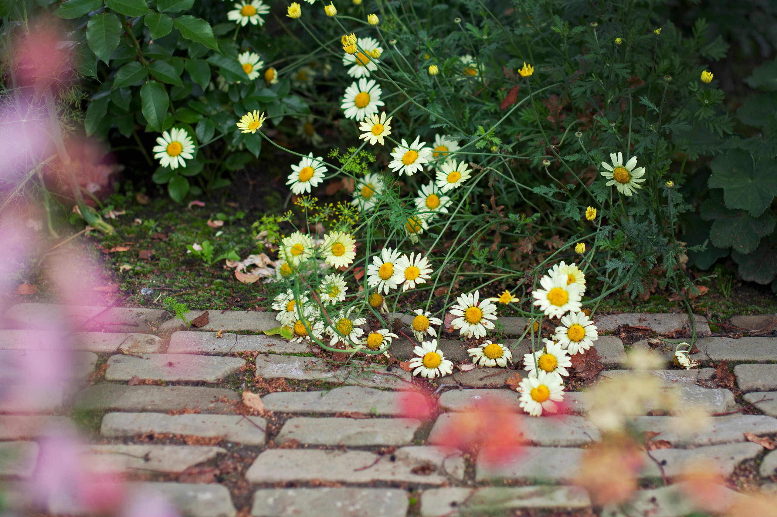 Хороший вопрос: Для чего нужна дача