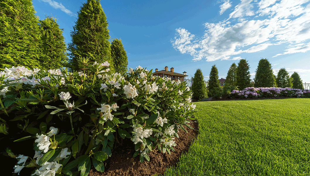 Хороший вопрос: Почему ваш участок не похож на фото из журнала