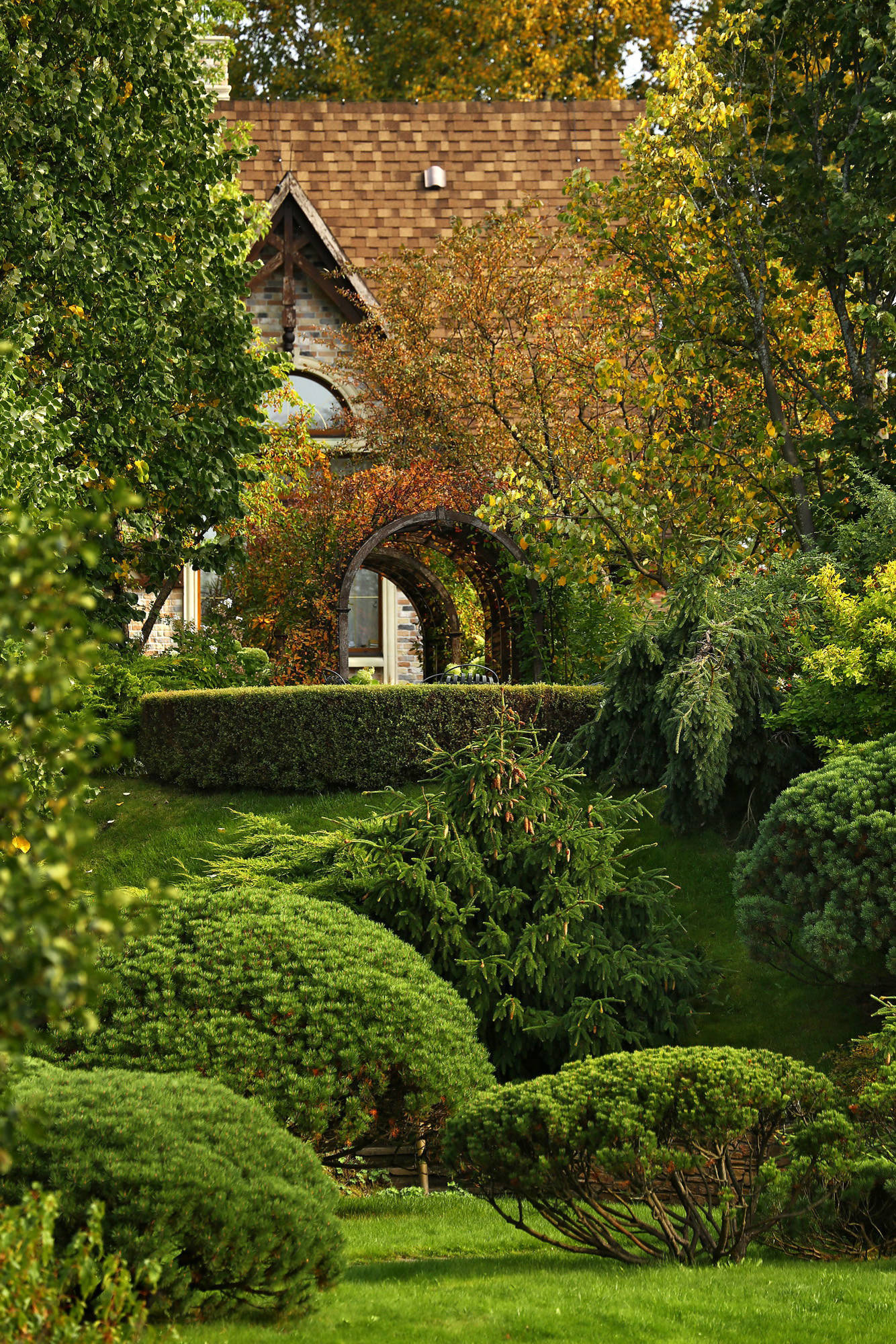 Сад без клумб: Оставляем только деревья и кустарники