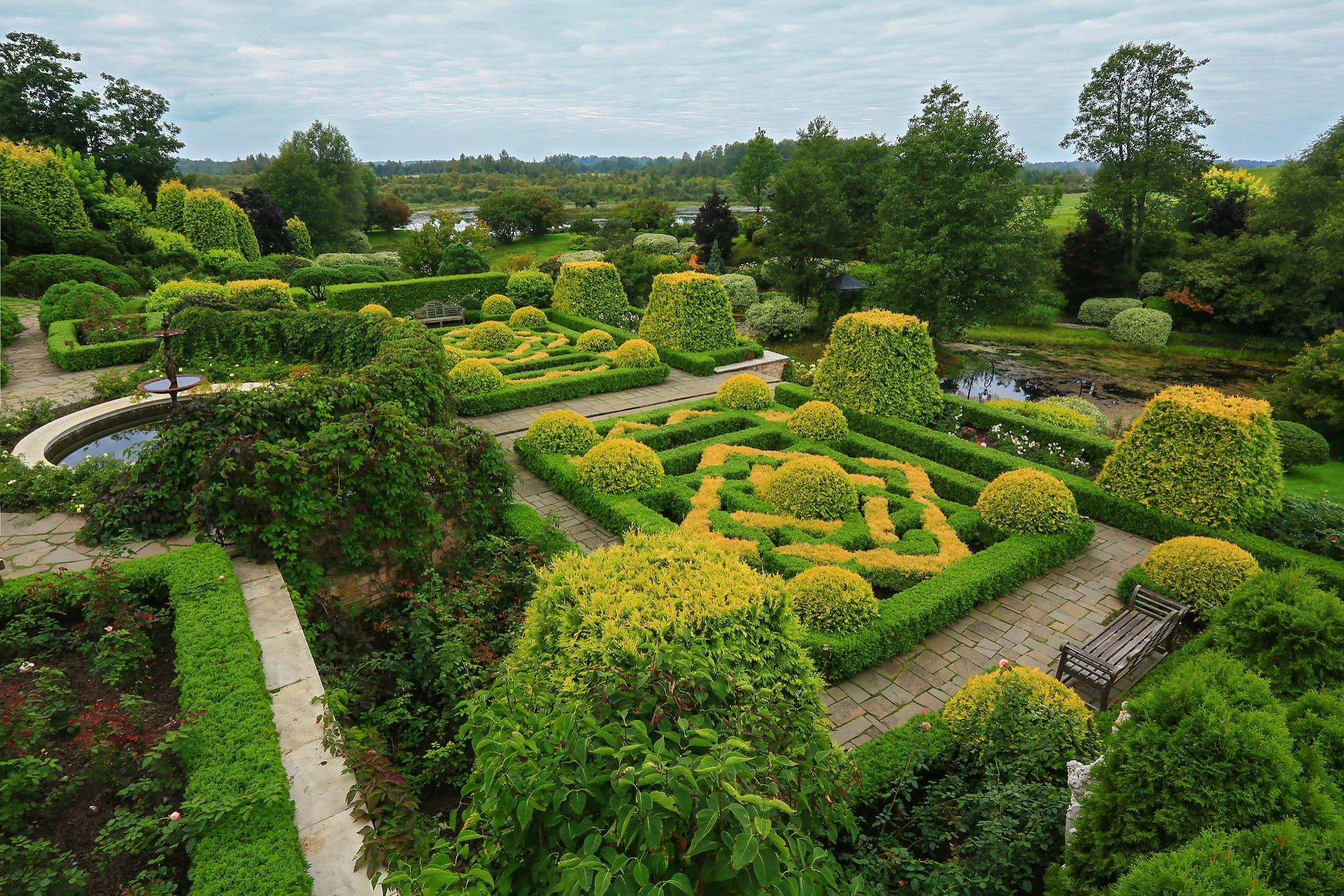 Как правильно: Сочетать растения по цвету на клумбе