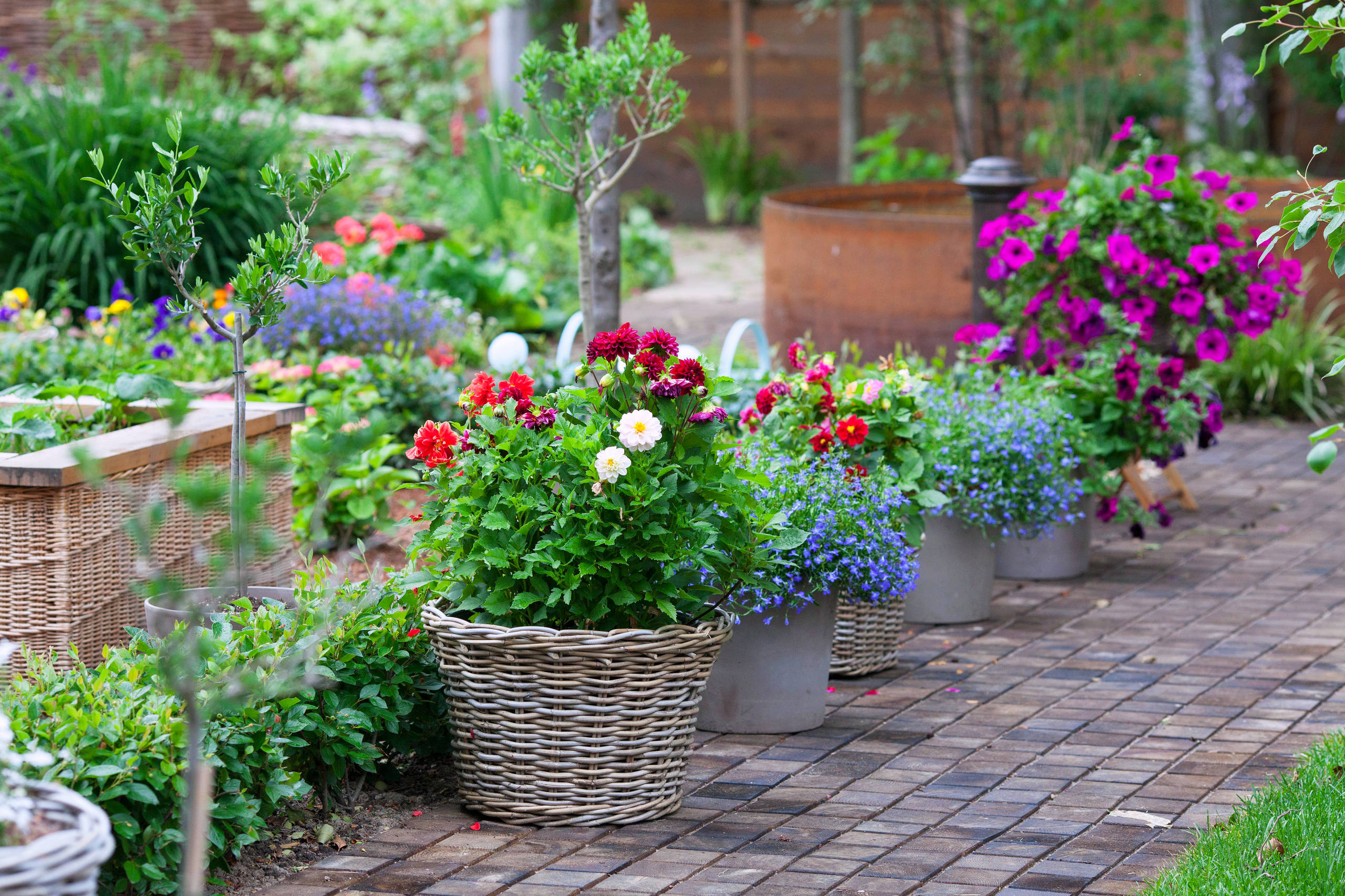 Хороший вопрос: Что посадить — однолетники или многолетники?