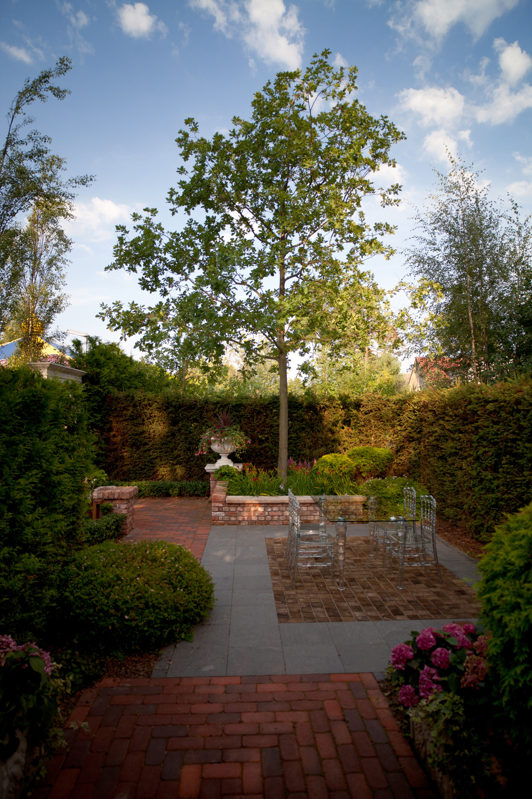 Живая изгородь: 7 насущных вопросов