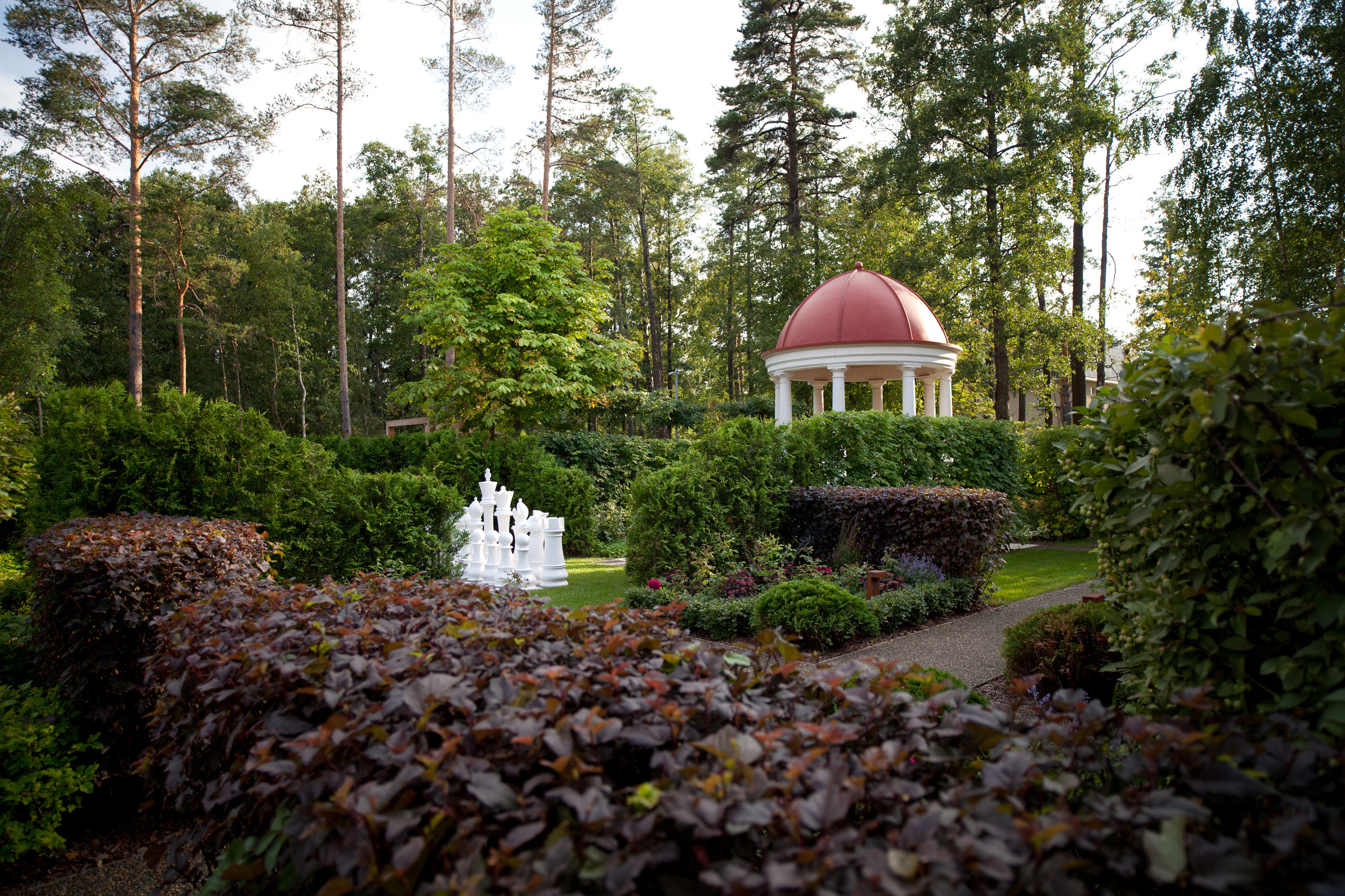 Живая изгородь: 7 насущных вопросов