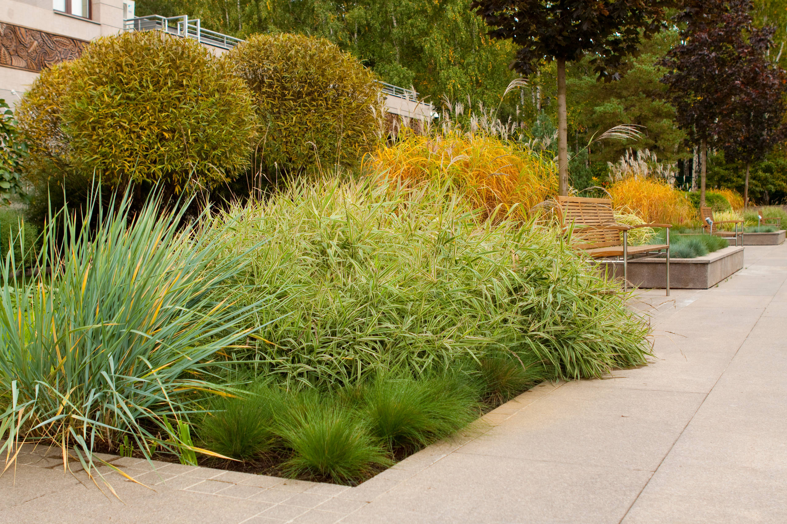 Хороший вопрос: Как выбрать лучшие злаки для вашего сада