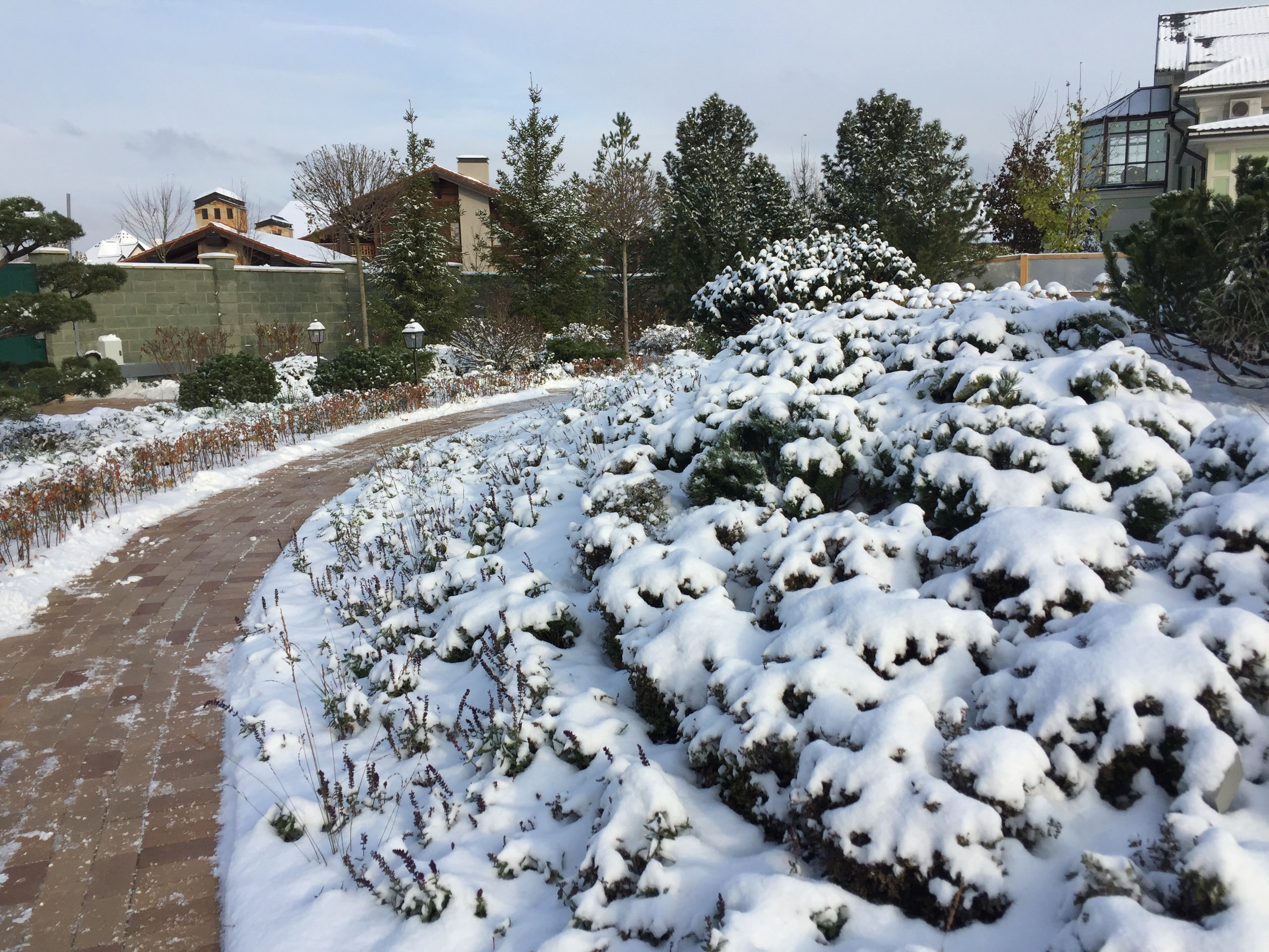 Как правильно: Использовать снег в саду