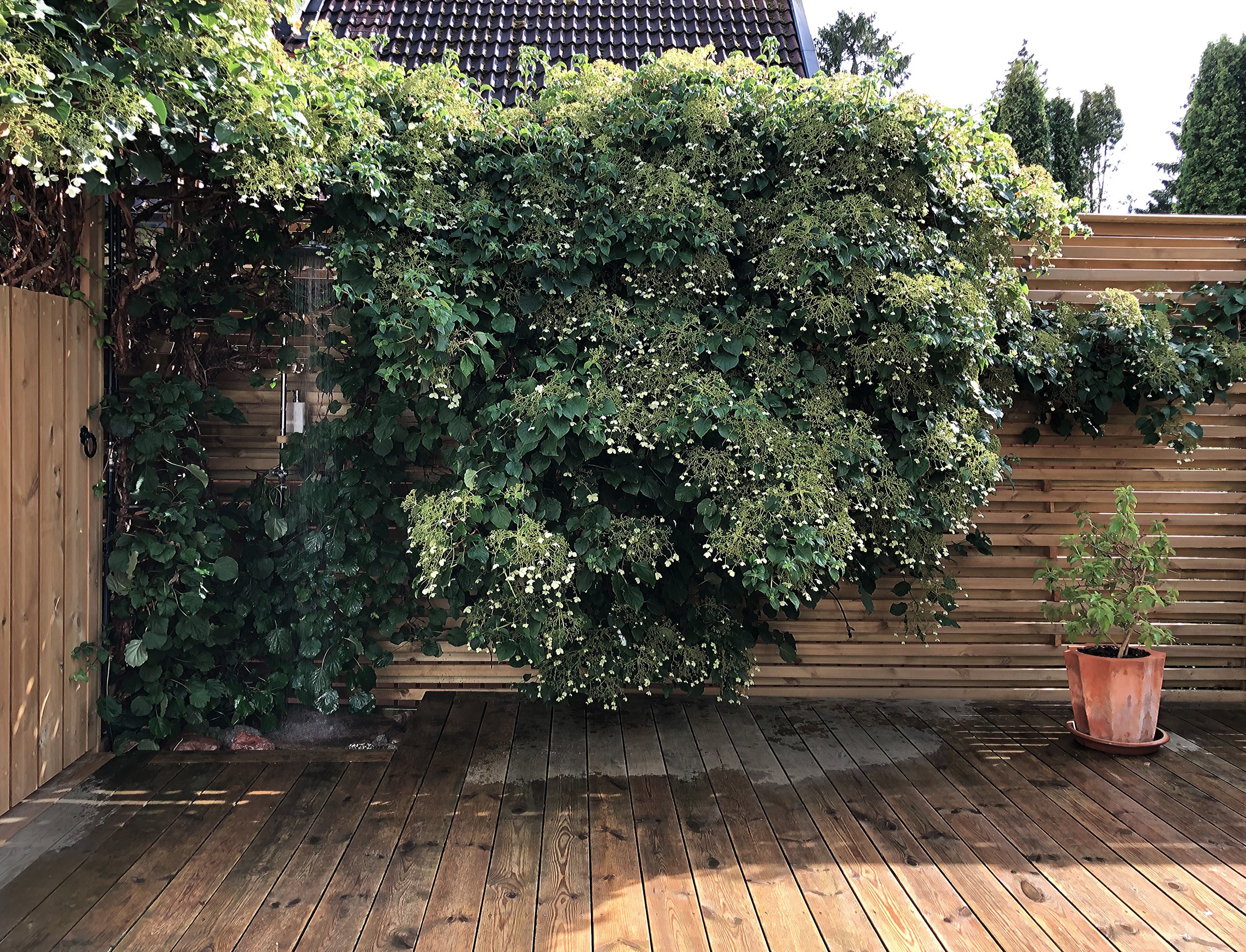 До и после: Летний душ и калитка в сад