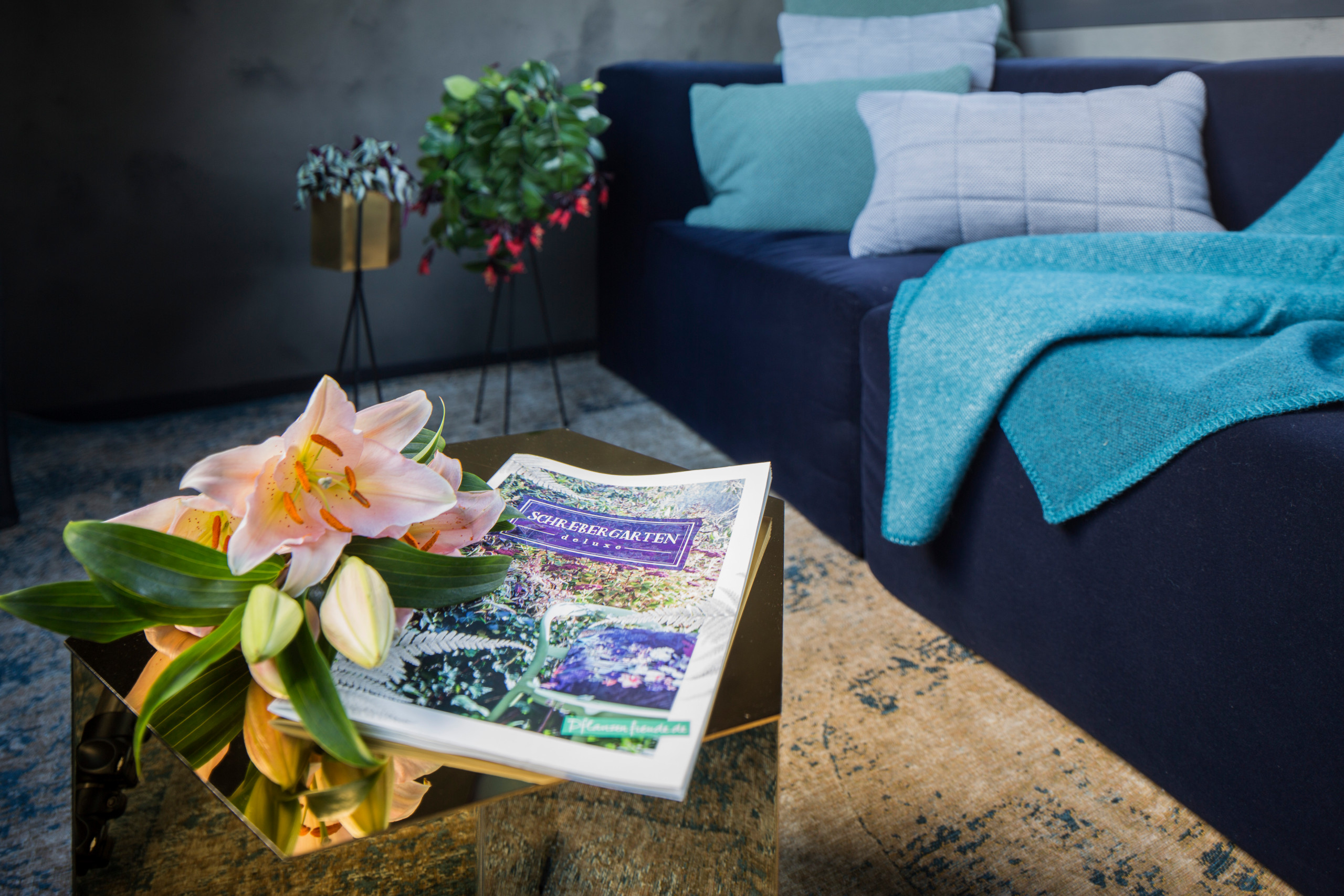 Проект недели: Временные апартаменты с садом... в центре города