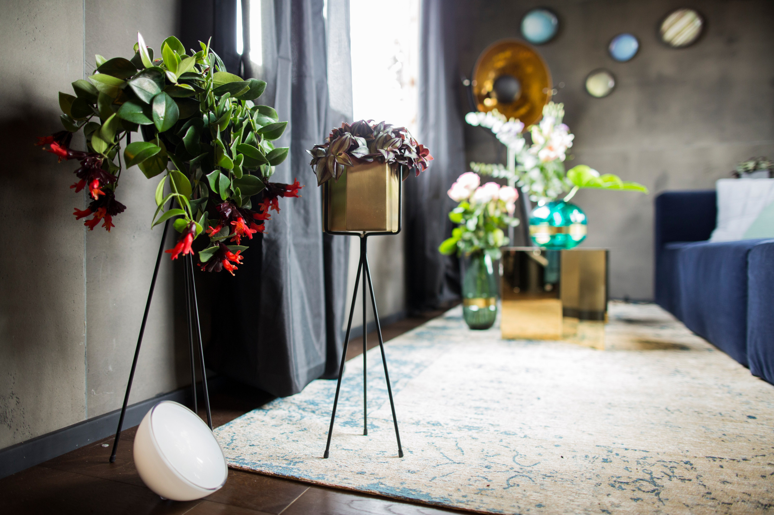 Проект недели: Временные апартаменты с садом... в центре города