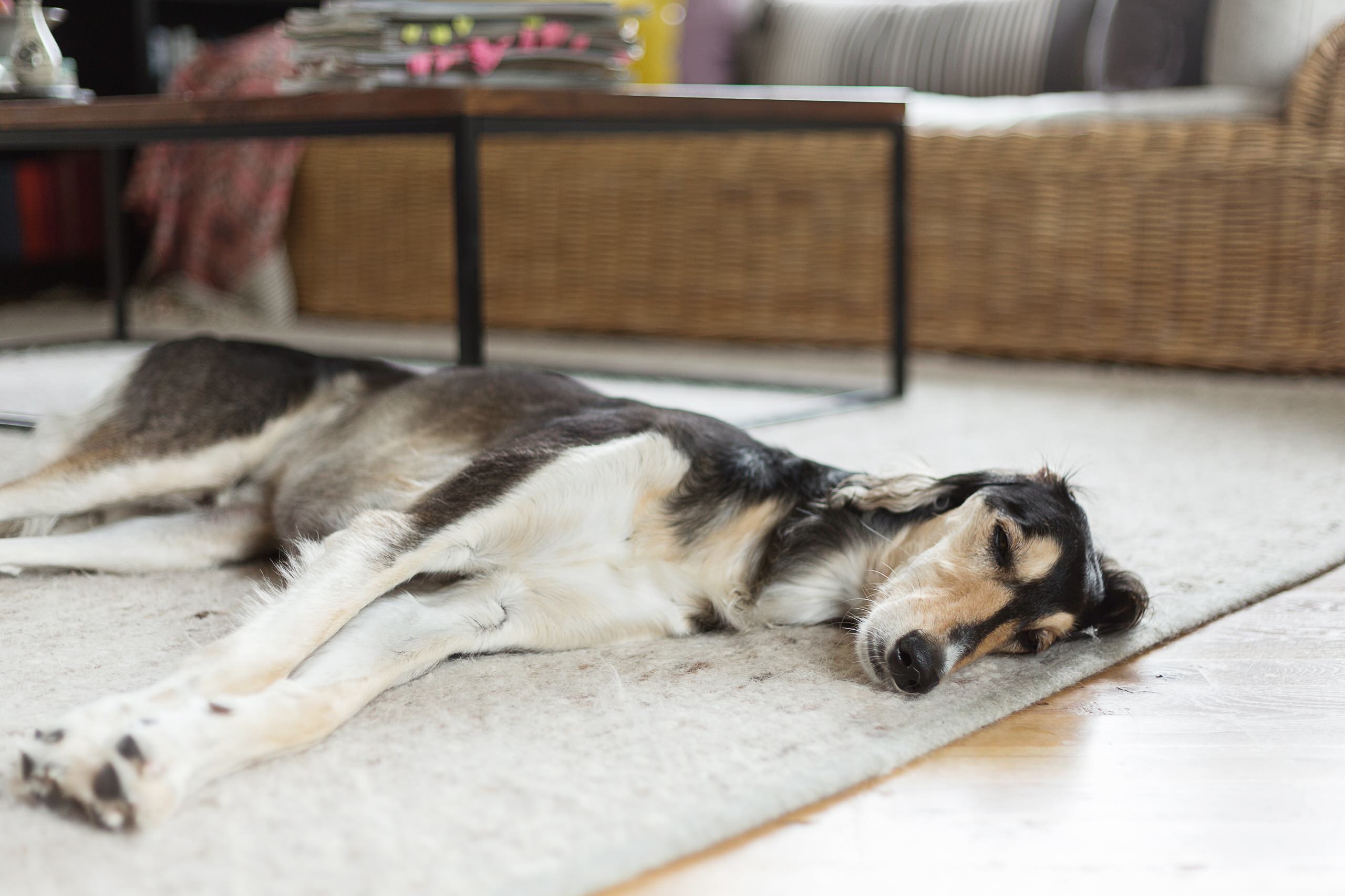 Houzz Германия: Каркасный дом под Берлином