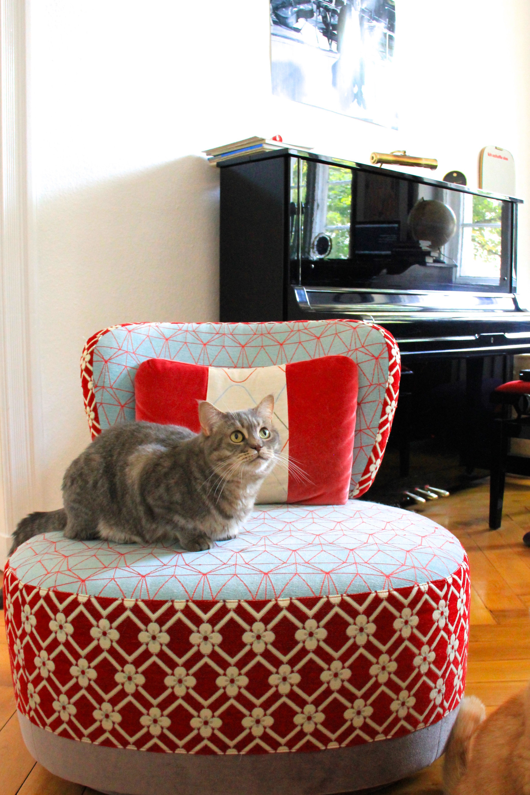 Мир дизайна: 10 счастливых питомцев и их места обитания в доме