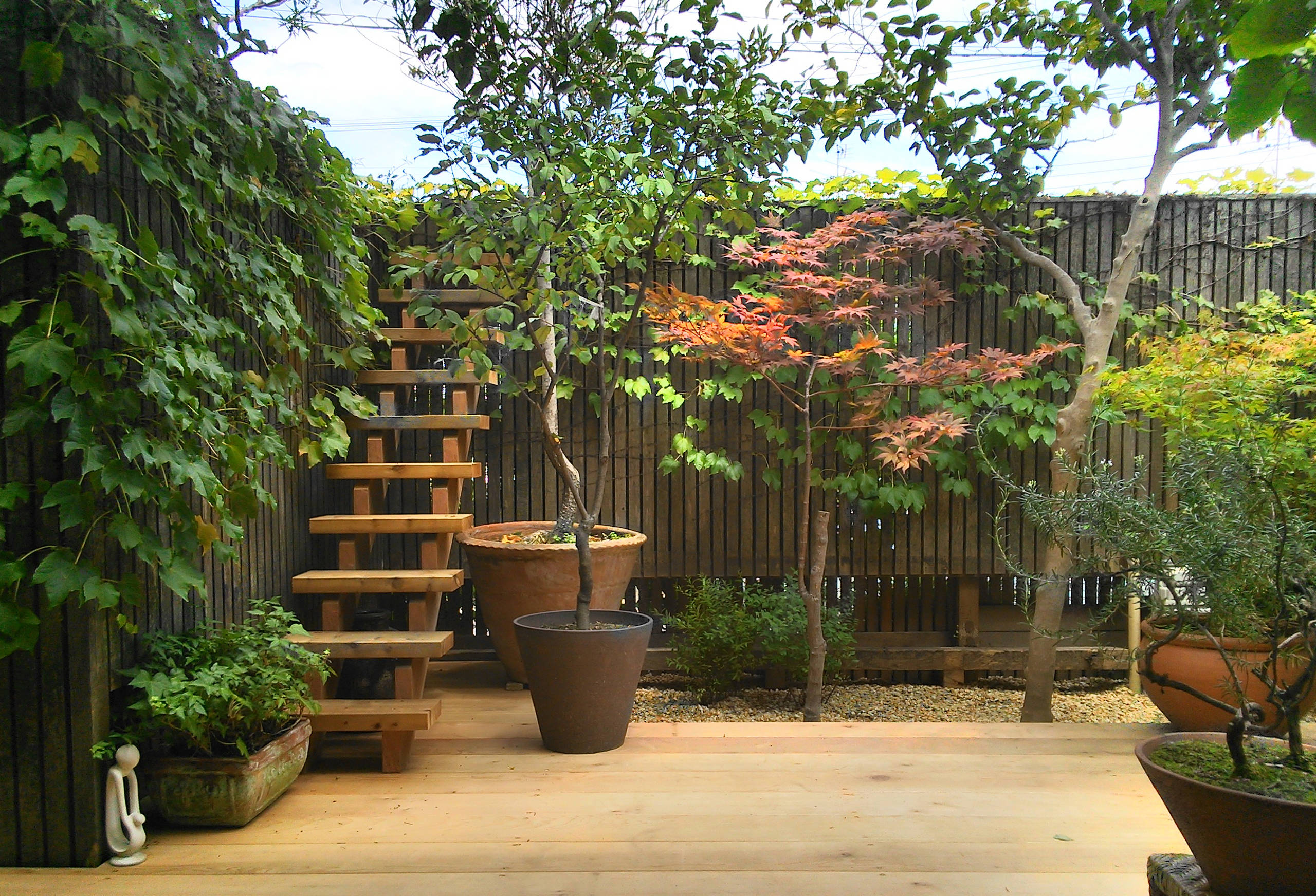 Вопрос: Можно ли вырастить полноценный сад в кадках